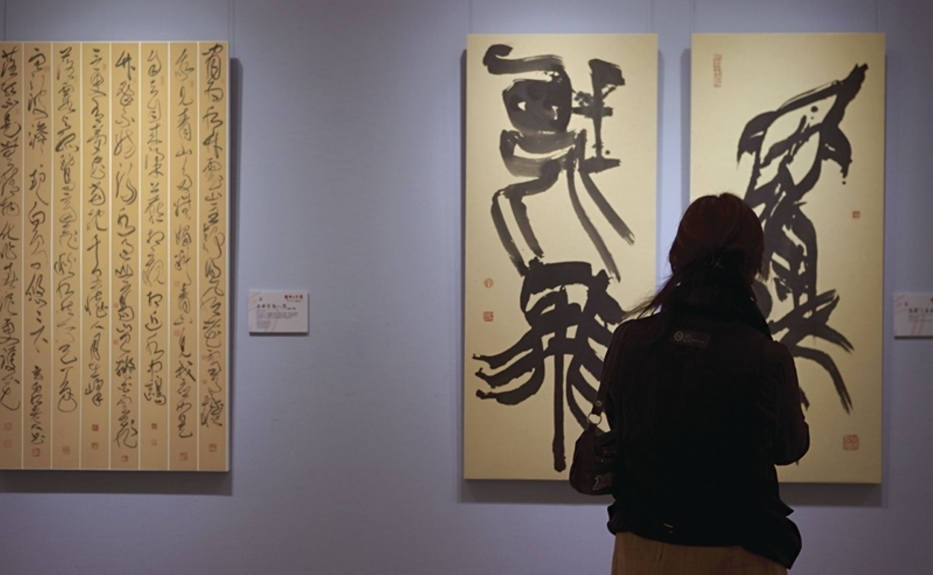 2017年國父紀念館展出杜忠誥作品，繼承古典傳統並兼容當代探索，展現出充沛的創作能量。（攝影／藍玉琦）