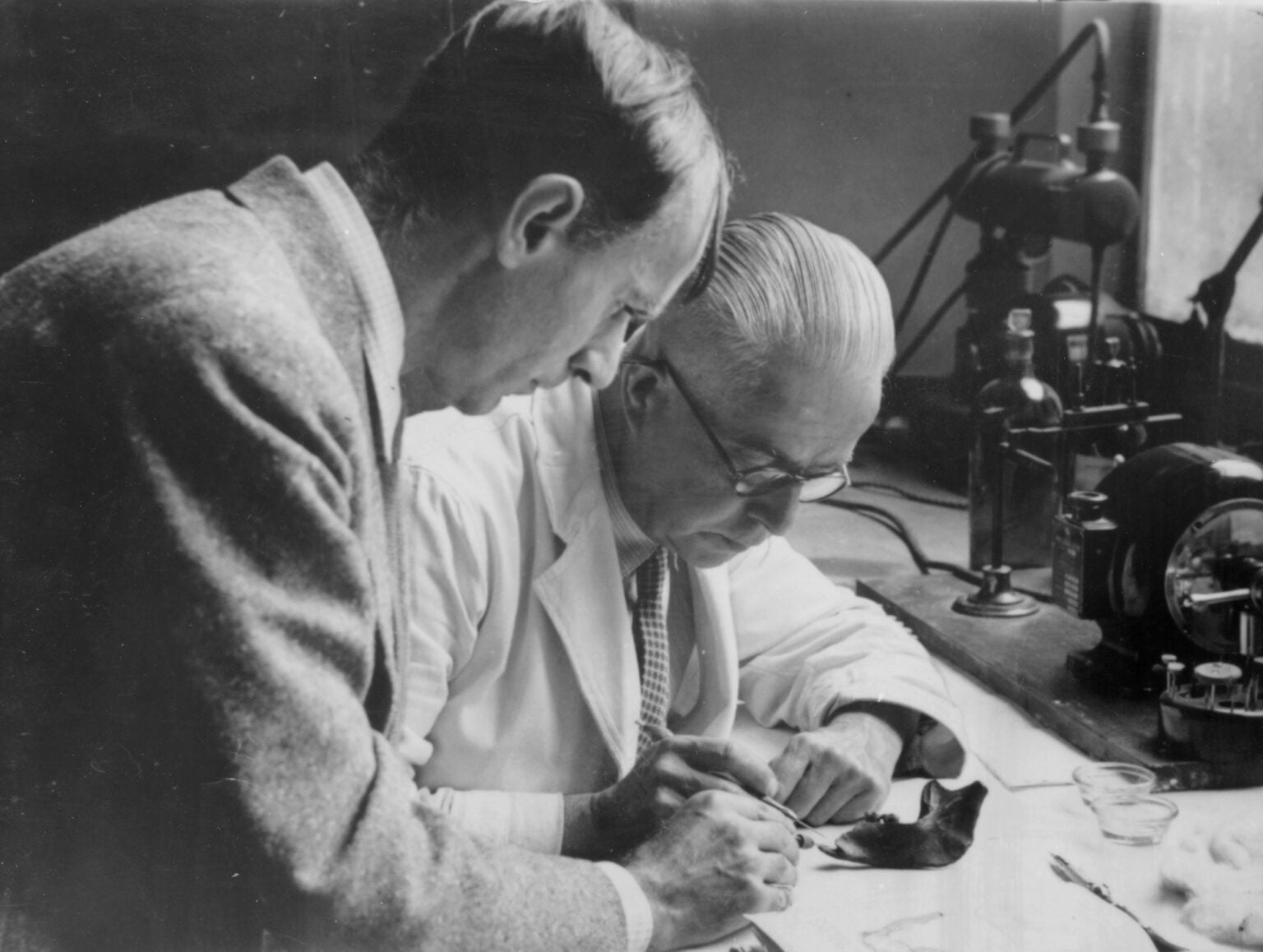 肯尼斯．奧克利（左）和 LE．帕森斯正在檢查皮爾當人的下顎。（圖／Natural History Museum，Alamy Stock Photo）