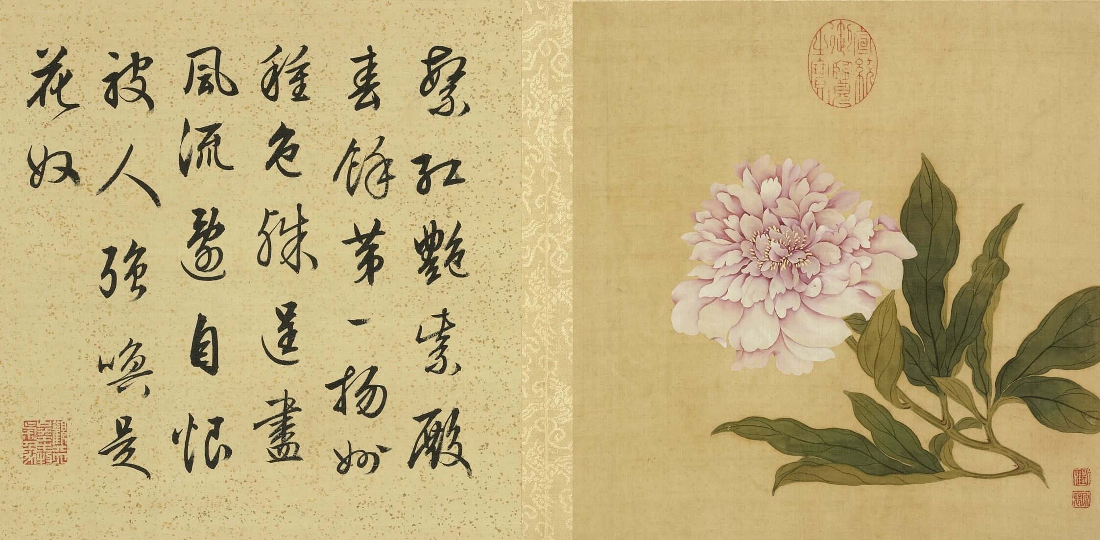 乾隆題詩：「繁紅艷紫殿春餘，第一揚州種色殊，逞盡風流遭自恨，被人強喚是花奴。」清 鄒一桂 《花卉畫冊》冊 芍藥，絹本設色，26.2×25.4公分，國立故宮博物院藏。（©國立故宮博物院）