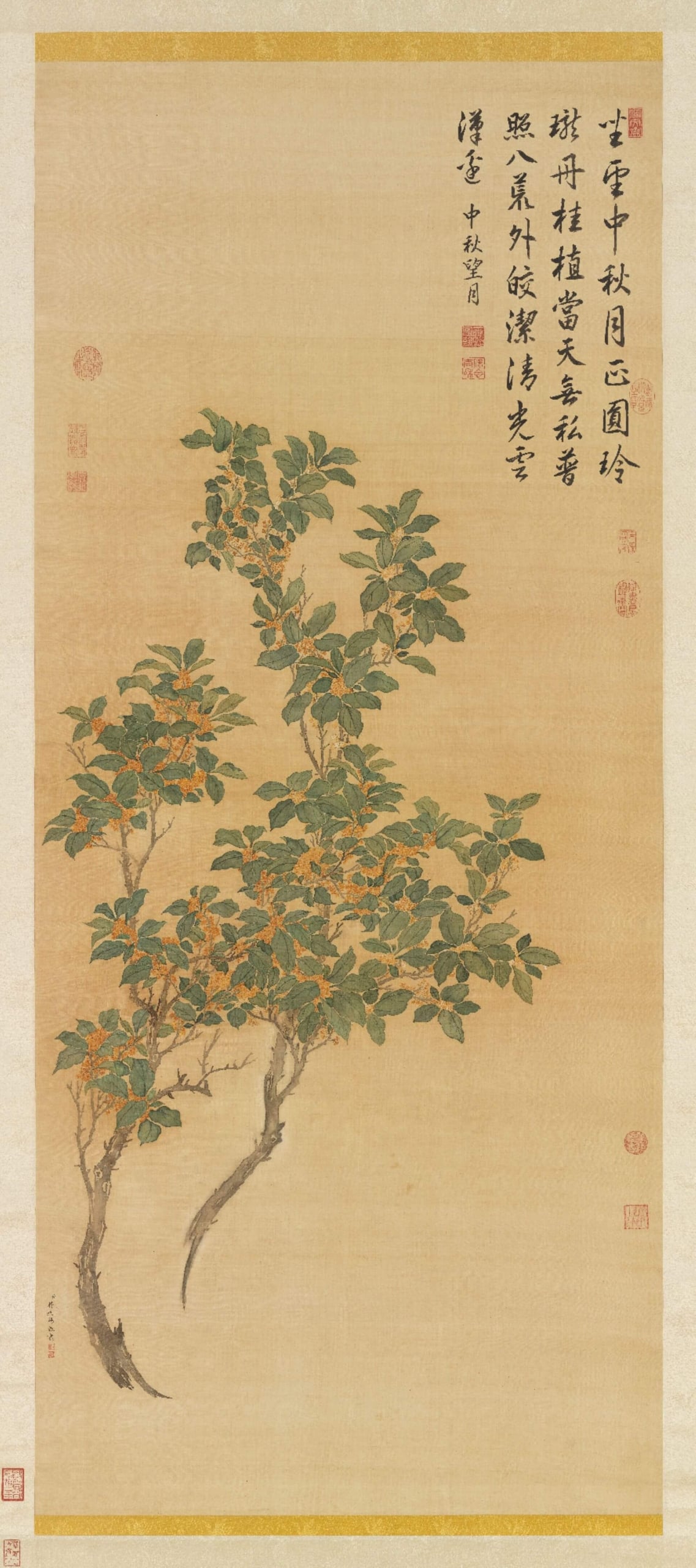 清 蔣廷錫 《桂花》，絹本設色，172.8×74.5公分，國立故宮博物院藏。（©國立故宮博物院）
