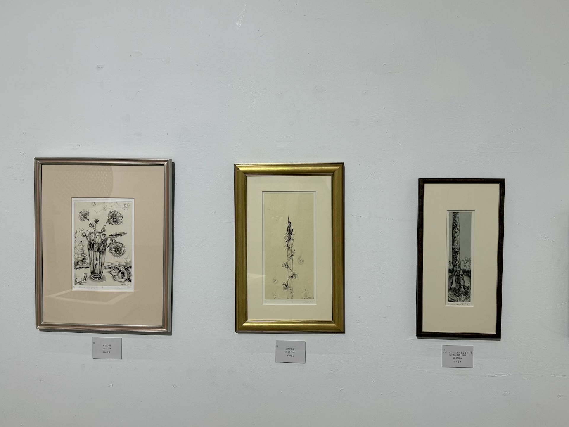 透過竹田智美的「植物」主題作品，展現她自1980年代以來對「單色調小宇宙」的研究。她運用版畫雕刻刀刻劃細膩的線條與墨點，凝結光影與生活碎片，並將與家人共同的美好記憶融入創作中。圖為「竹田光幸 × 竹田智美 雙人展」展出現場。（攝影／李京樺）