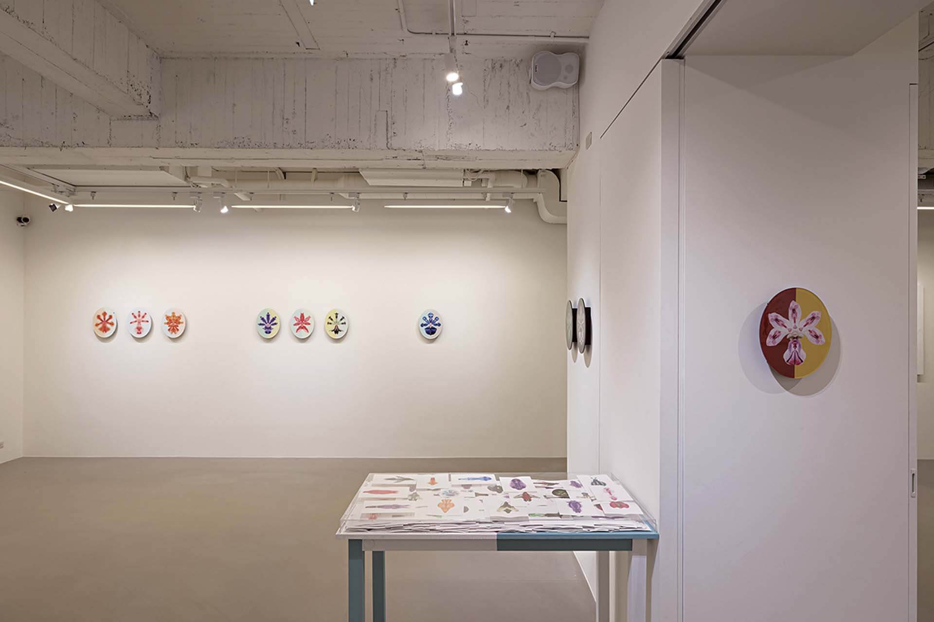非畫廊「開箱—願原力與你同在」展場一隅。（非畫廊提供）