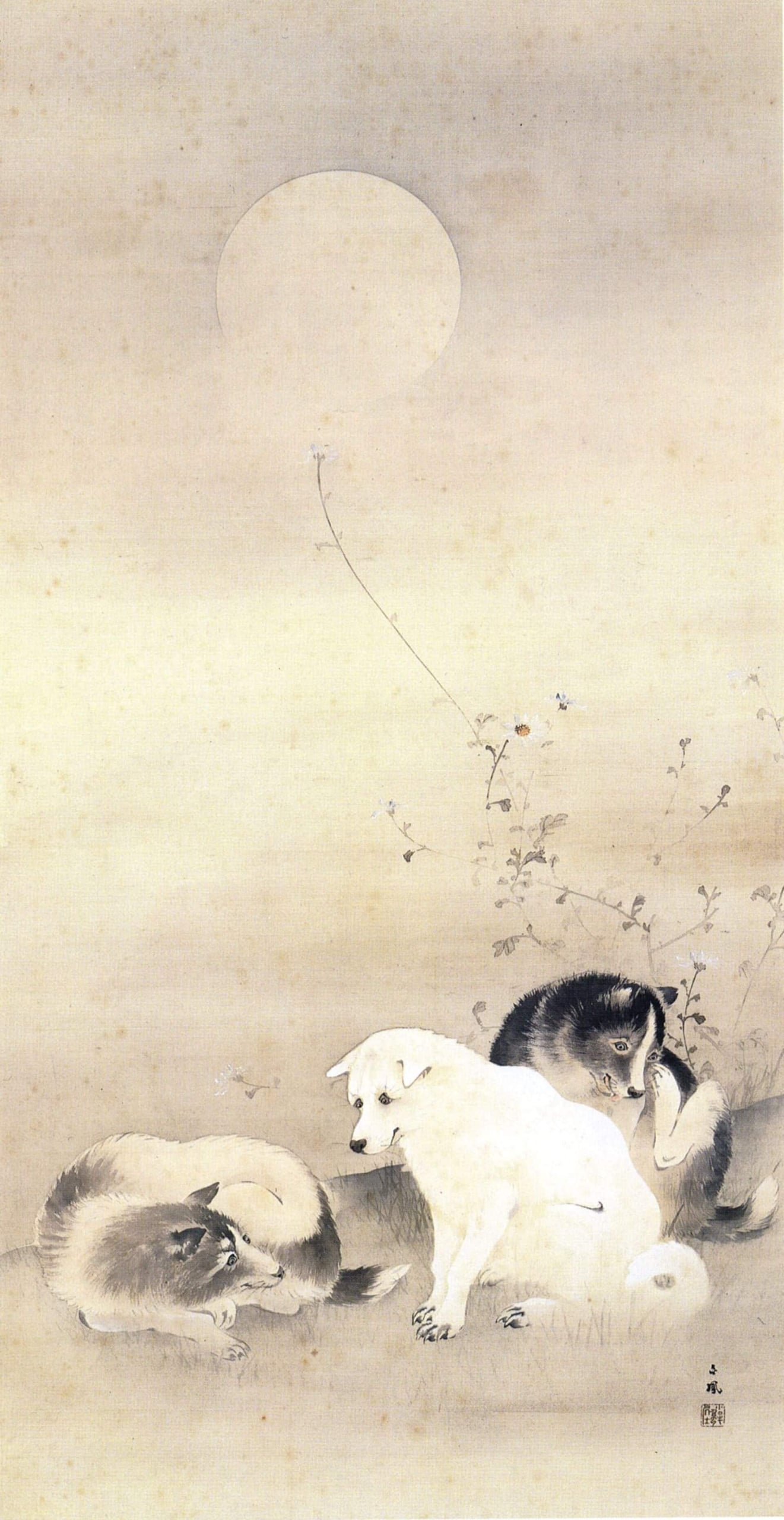 望月金鳳,《月秋草狗之圖》,約19世紀末,皇居三之丸尚藏館藏。(《花鳥の美 : 若冲から近代まで》)