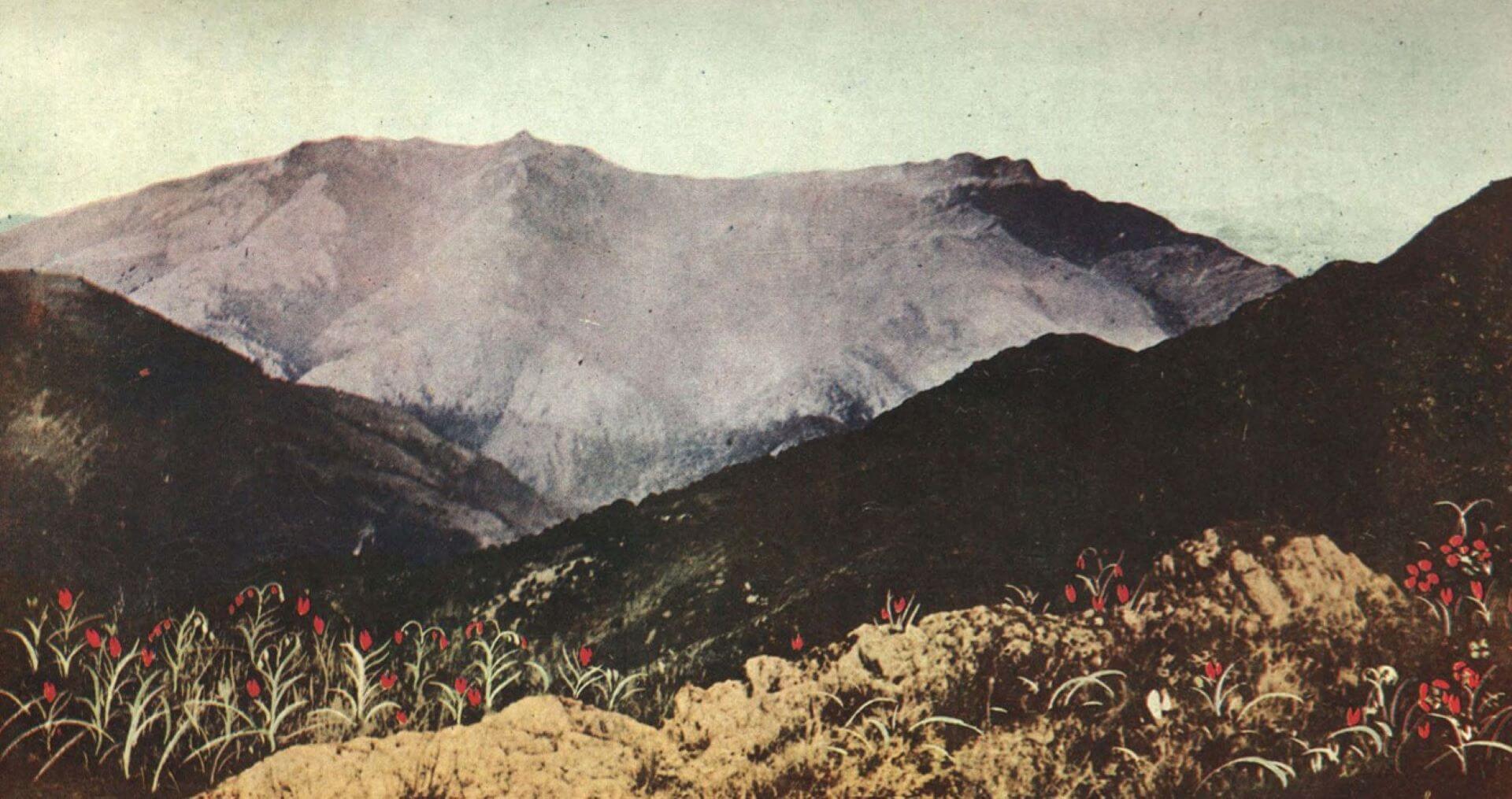 1917年出版《Formosa To-Day》刊載新高山(玉山)的照片。(《Formosa To-Day》)