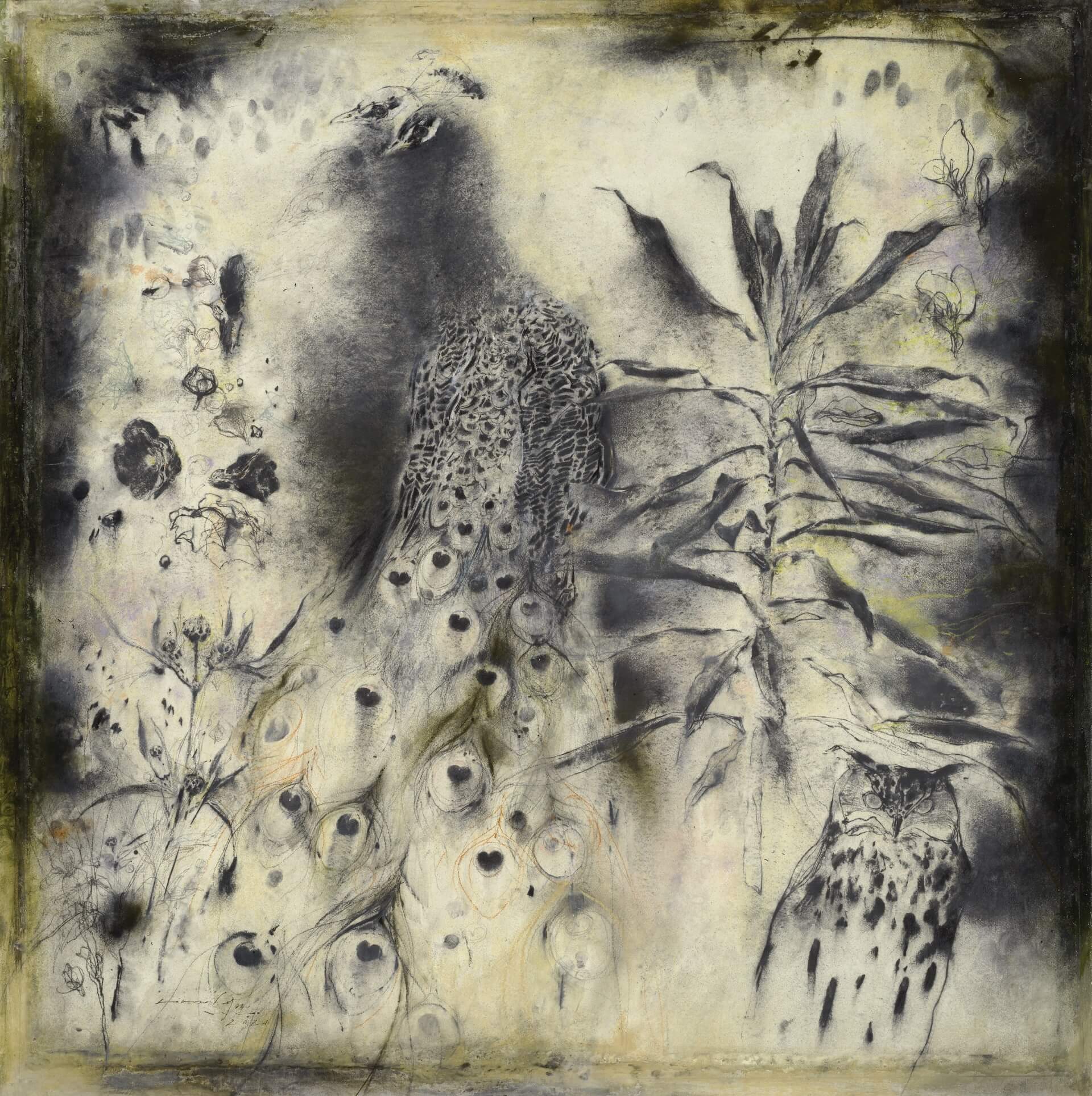 梁兆熙（LIANG Zhaoxi），《孔雀》，2024，炭筆、壓克力顏料紙本，100×100cm。（赤粒藝術提供）