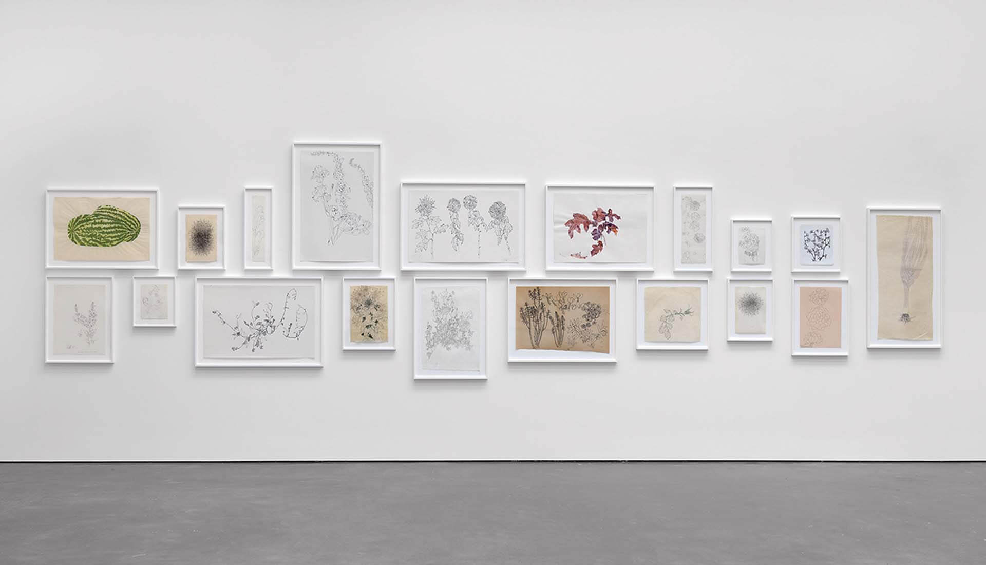 2021年11至12月間於紐約卓納畫廊舉辦的「 Installation view，Ruth Asawa：All Is Possible」展場一隅。, David Zwirner，New York, November 4–December…