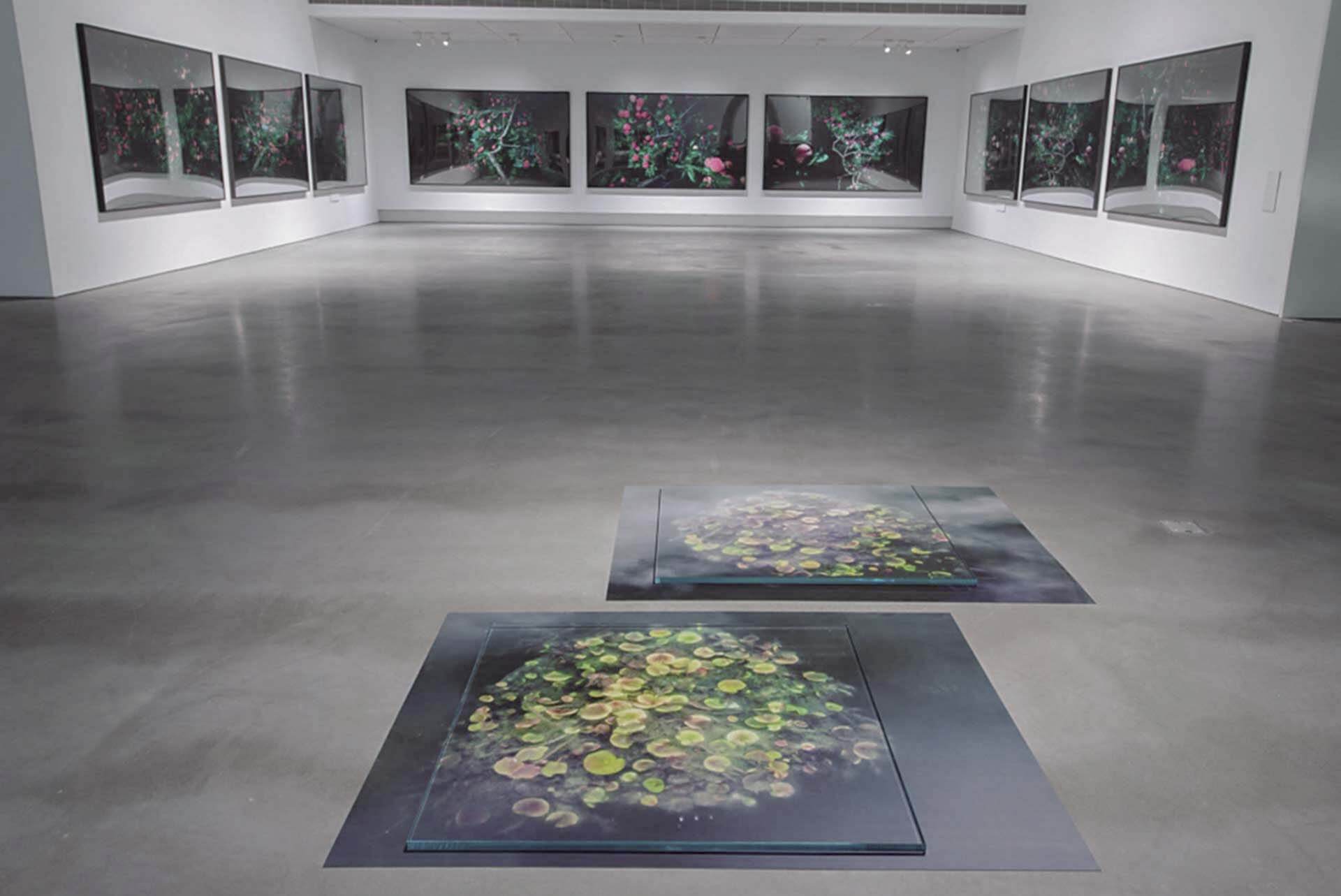 2018年的「靜河流深」一展為高美館展覽空間改造後的首檔展覽，由李玉玲策展，匯聚國內外當代重要藝術家作品及現地裝置，以藝術串聯城市文化與歷史記憶。（高雄市立美術館提供）