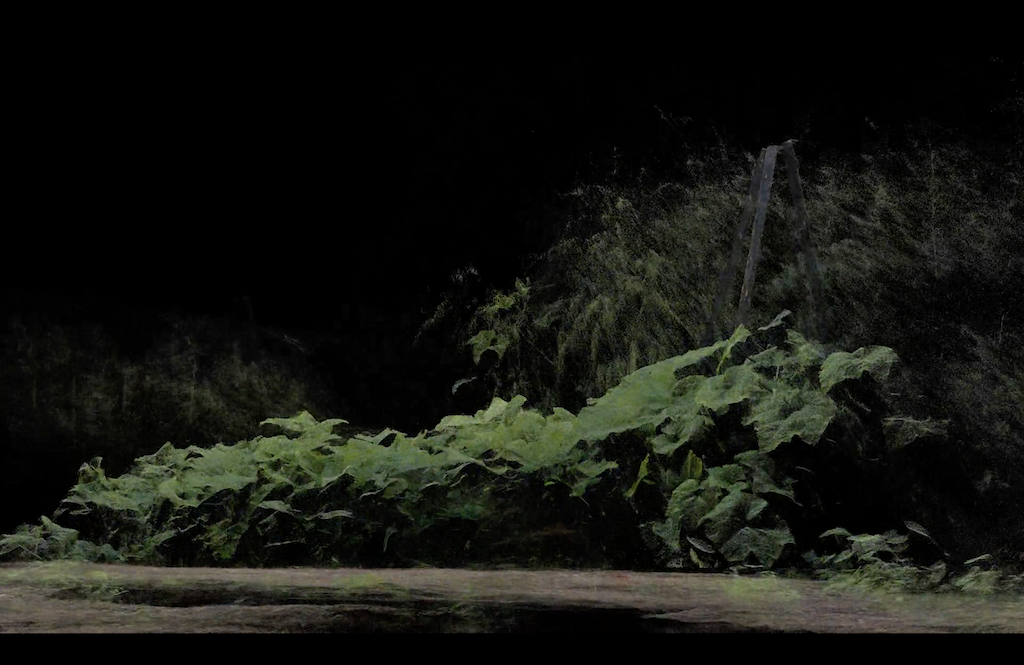 ScanLAB Projects，《FRAMERATE: PULSE OF THE EARTH》片段截圖。© ScanLAB Projects。