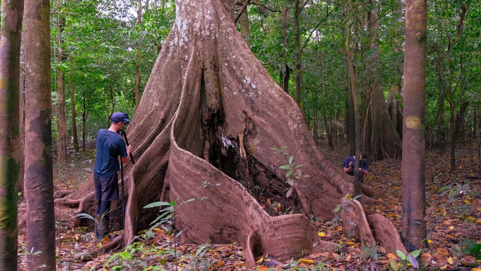 《Breathing with the Forest》於亞馬遜雨林中的使用雷達掃描和攝影測量的過程。圖片來源／Marshmallow Laser Feast網站。