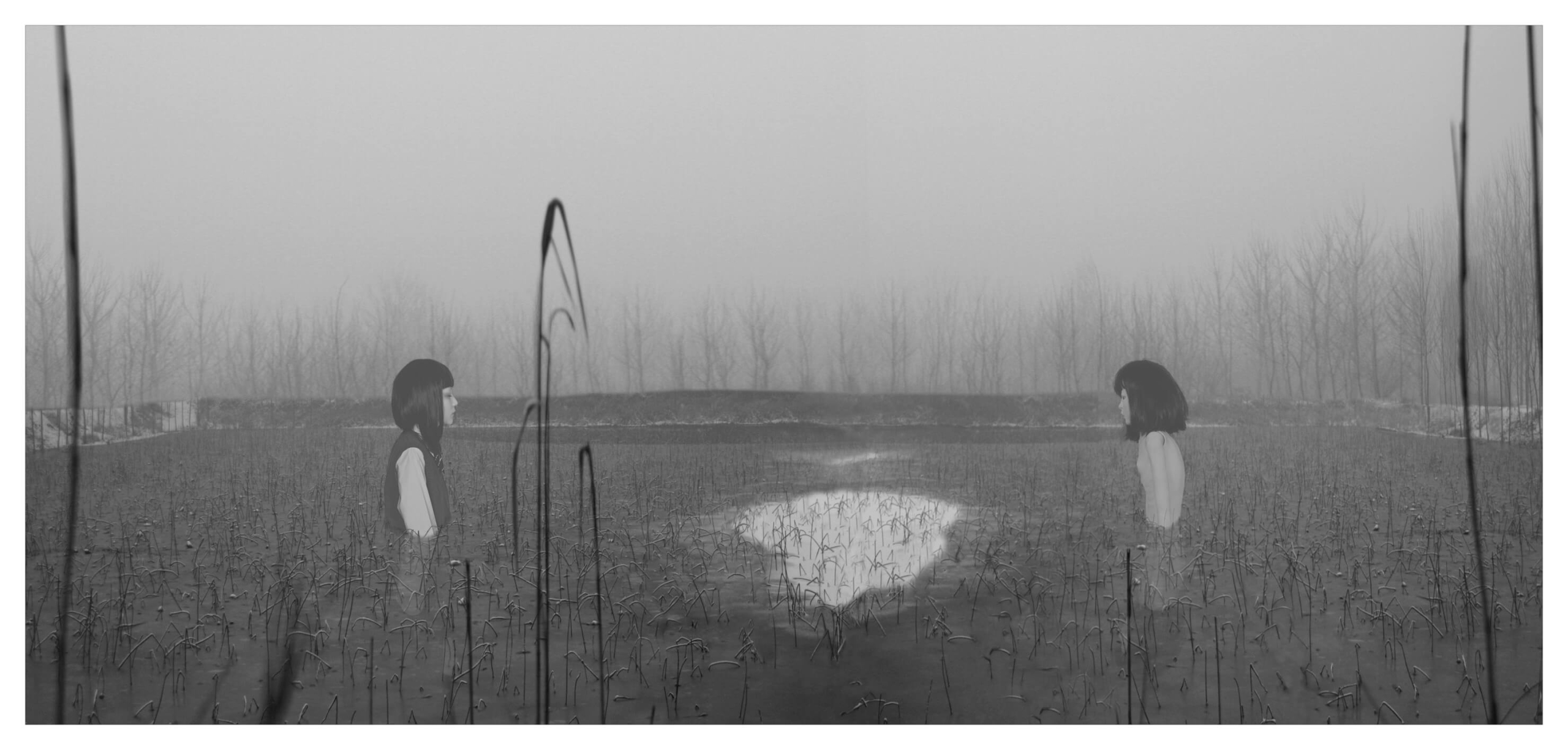 崔岫聞，《真空妙有No. 18》，C-Print 300x144cm(L)；200x96cm(S)，2009，大未來耿畫廊收藏。（崔岫聞提供）