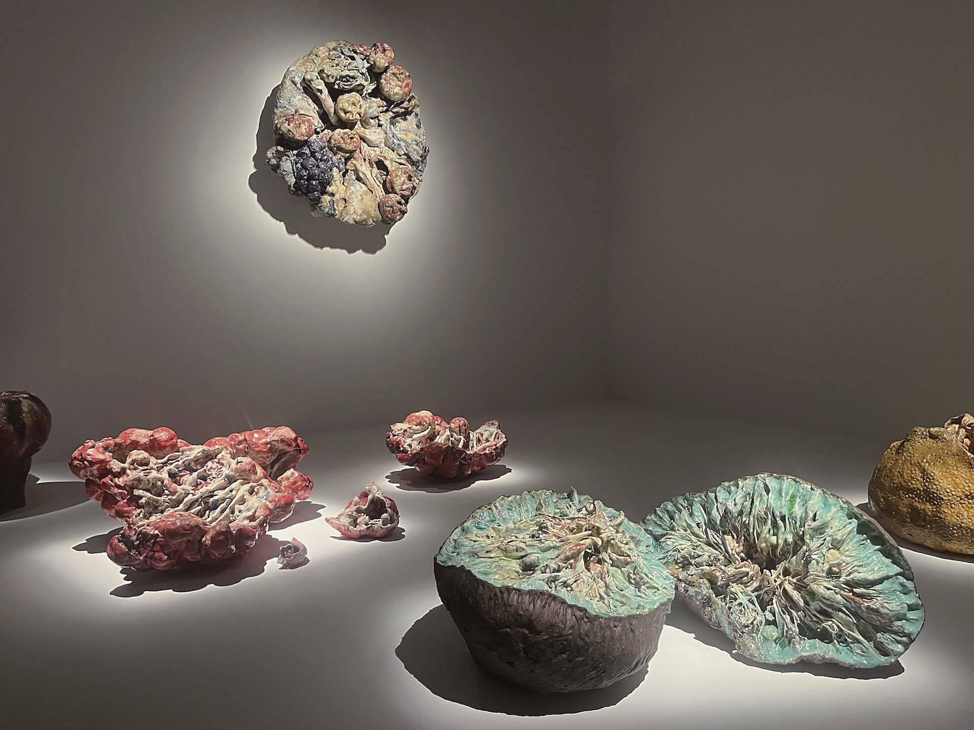 蔡佳宏《褶肉記—生機之域》於高美館「珍珠」展覽現場。（陳思宇提供）