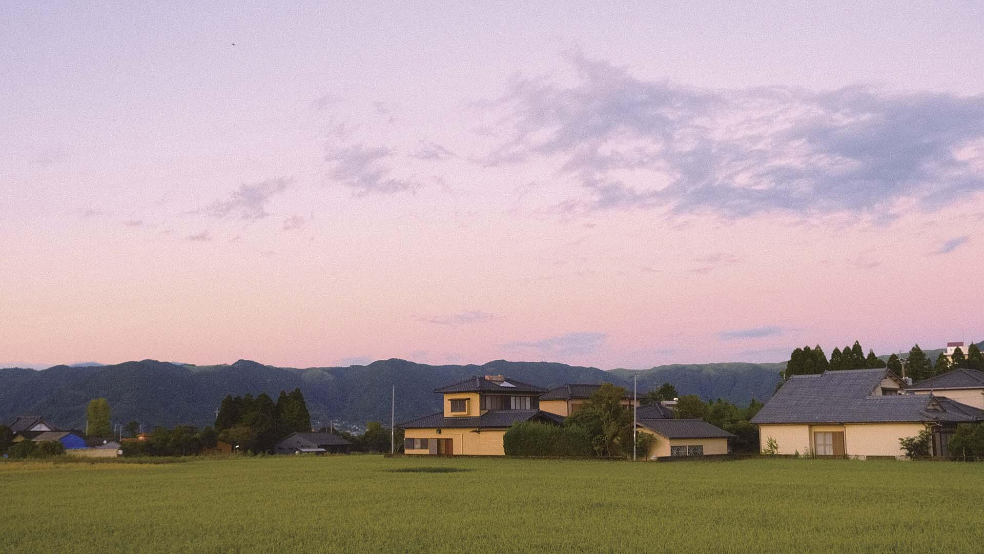 整個阿蘇市都位於幾萬年前形成的火山破口當中，每到八月當田地稻米轉為金色，總讓人聯想到花東的風景。（鄭琬融提供）