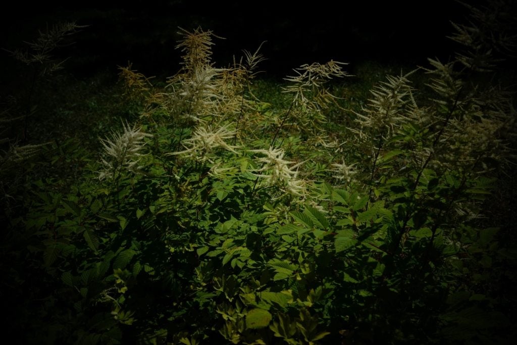 追尋光，覓得生命的出口——「有光 With Light 葉怡暄攝影展」