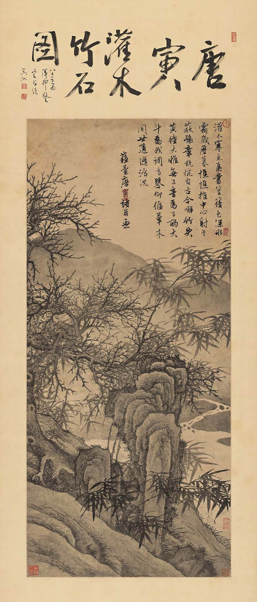 唐寅〈灌木竹石圖〉，紙本水墨，115×51公分。