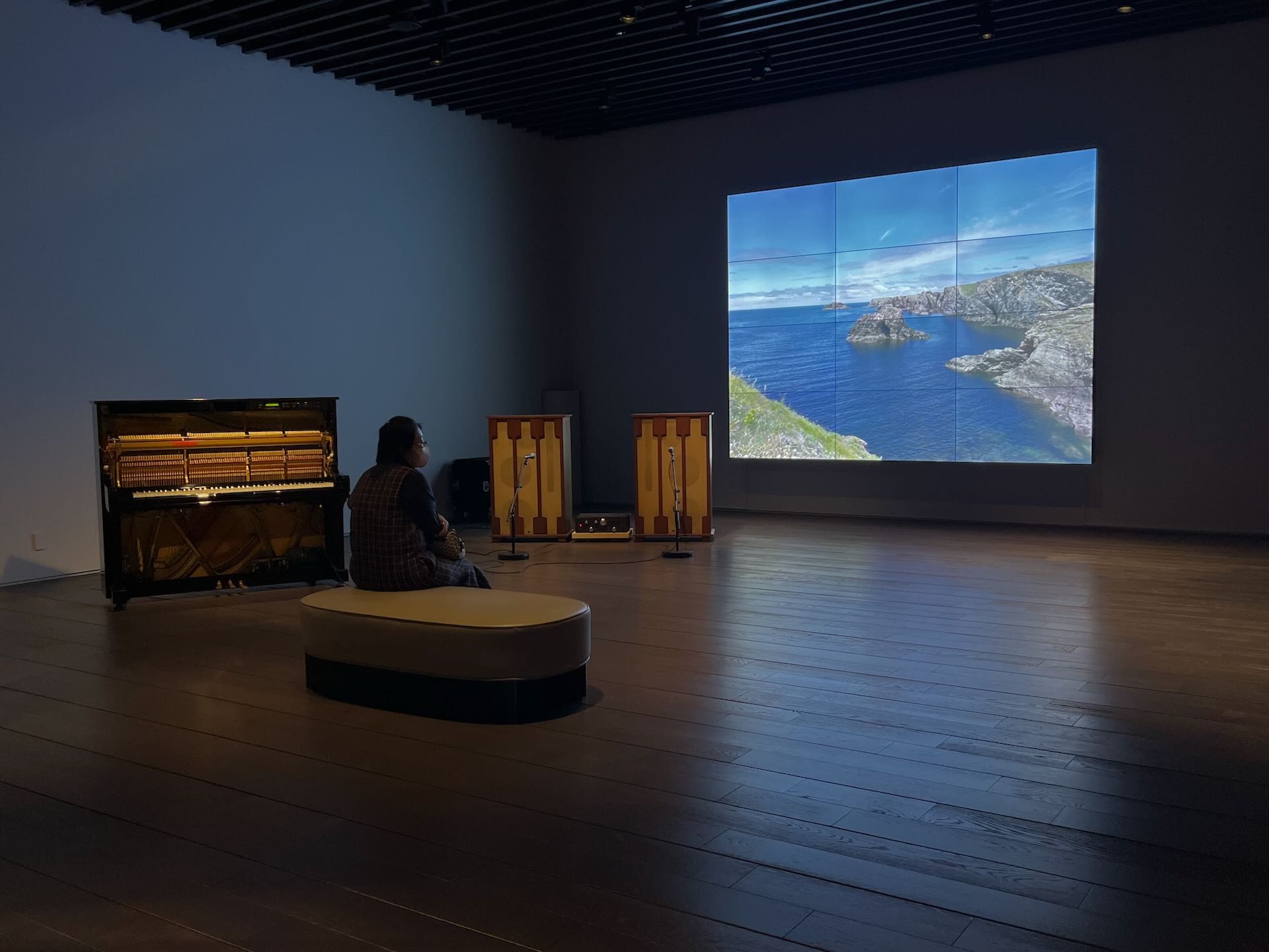 《鋼琴獨奏》是展覽中唯一直接顯現自然景色的作品。攝影／陳思宇