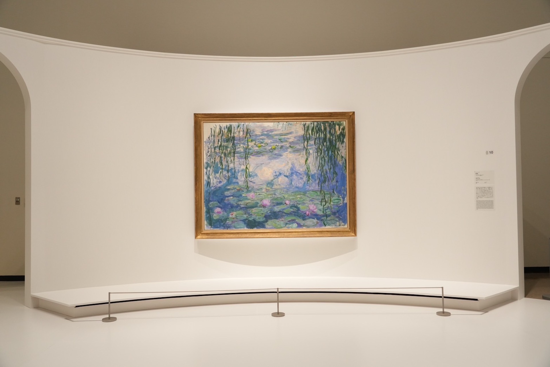 國立西洋美術館《莫內的睡蓮》展廳，1916-1919年間，莫內《睡蓮》，油畫。（©NTV）