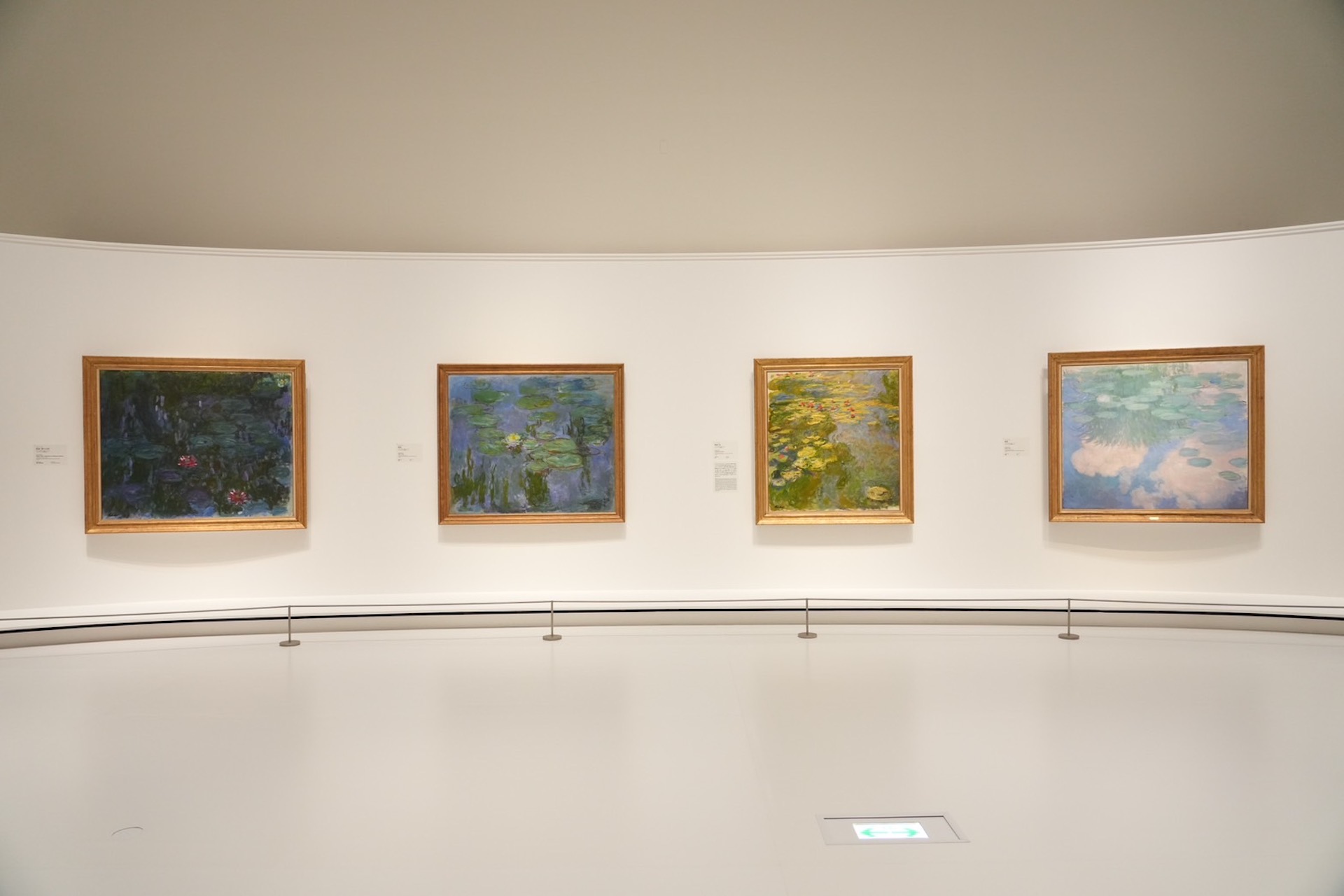 國立西洋美術館《莫內的睡蓮》展廳。（©NTV）