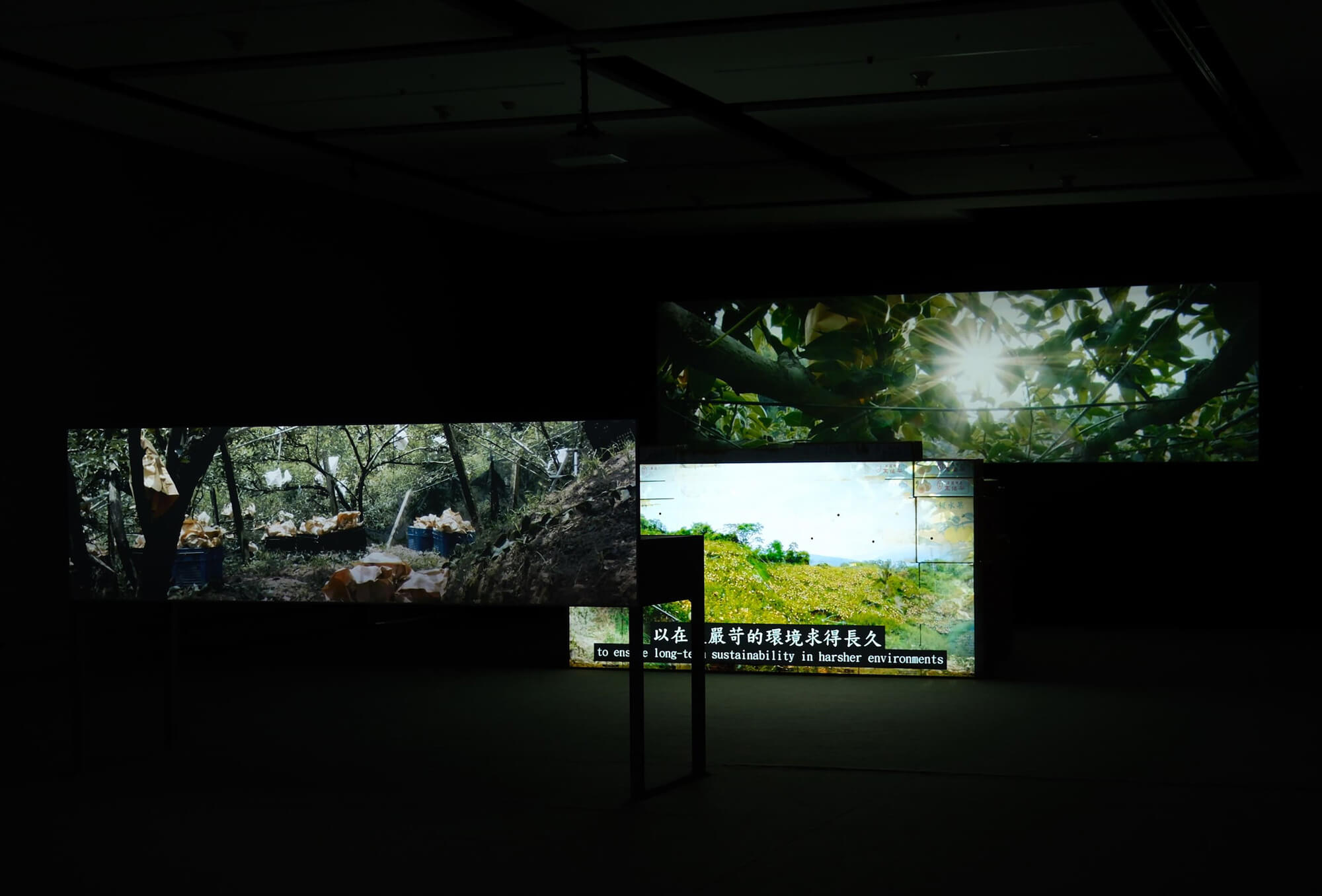《橫山豐水》陳亮璇個展。（攝影／許博彥）