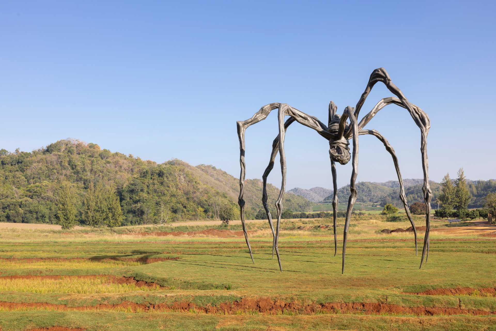 路易絲．布爾喬亞（Louise Bourgeois，1911-2010）的代表作《媽媽》（Maman）（攝影／Andrea Rossetti）©&nbsp;Khao Yai Art Forest