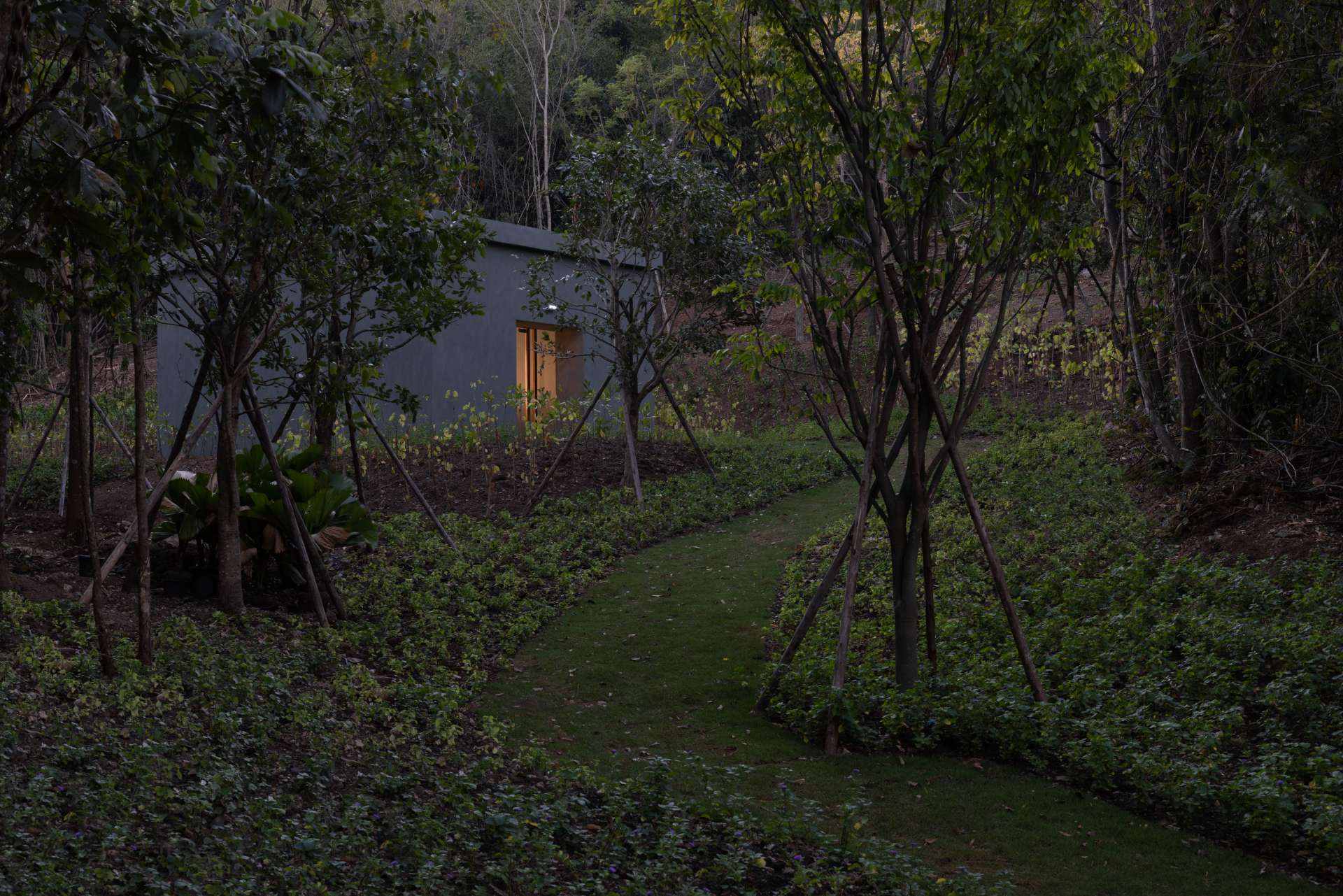 藝術家Elmgreen & Dragset稱《K Bar》為流離失所於大自然中（Displacement in Nature），令人會心。（攝影／Andrea Rossetti）©&nbsp;Khao Yai Art Forest