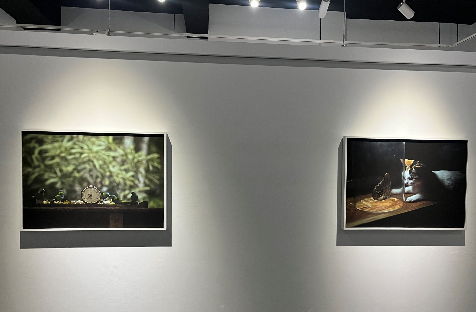 「晚安，人民」系列於「地核、地殼與月球」展場一隅。（攝影／章郡榕）
