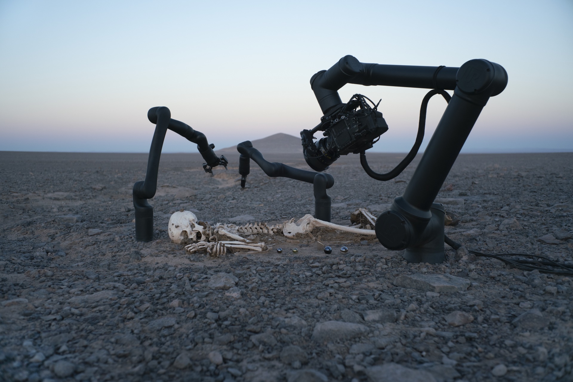 皮耶．雨格（Pierre Huyghe）的作品《Camata》。（Courtesy of the artist and Galerie Chantal Crousel, Marian Goodman Gallery, Hauser &amp…