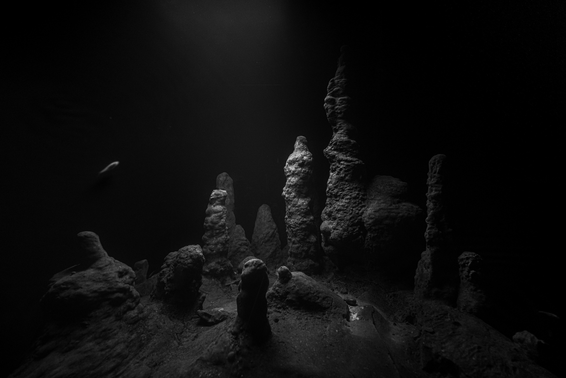 《Circadian Dilemma (El Día del Ojo)》於文心藝所一景。（© OS Studio，文心藝術基金會提供）
