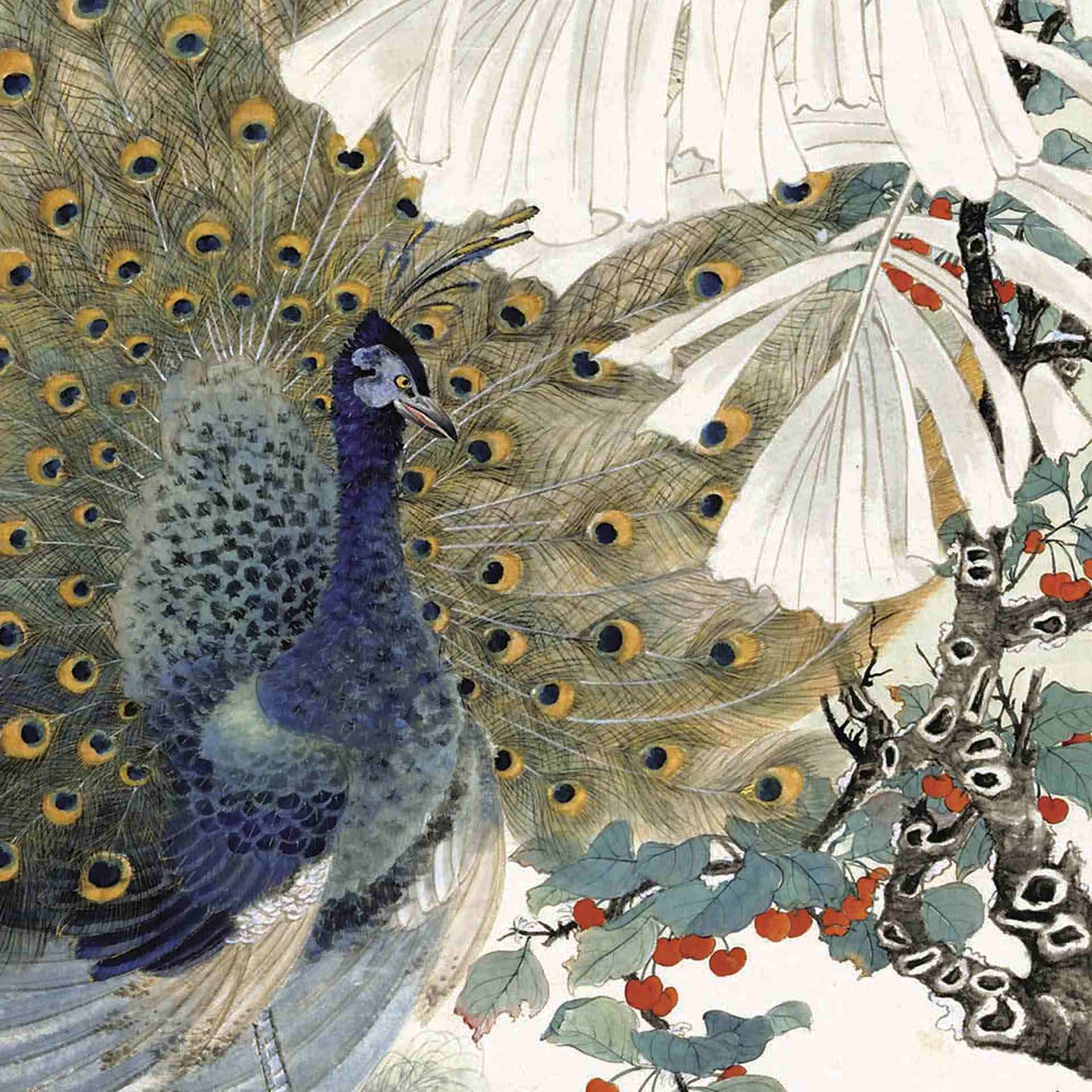 陸抑非《芭蕉孔雀圖》，圖為局部。圖／清翫雅集