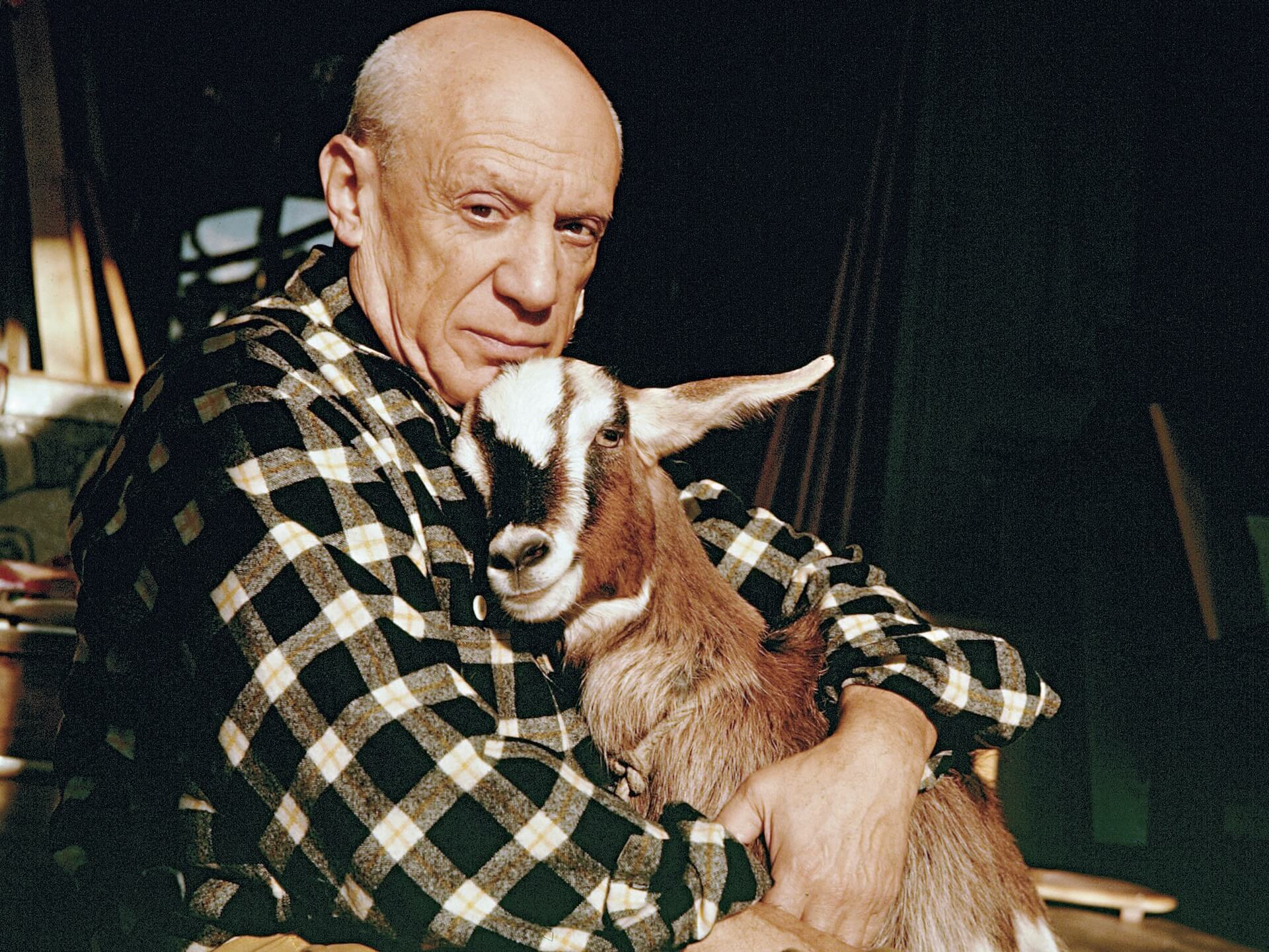 「畢加索的動物王國」展售會主視覺。（攝影／ Edward Quinn，© 2025 Estate of Pablo Picasso/ Artists Rights Society [ARS]）