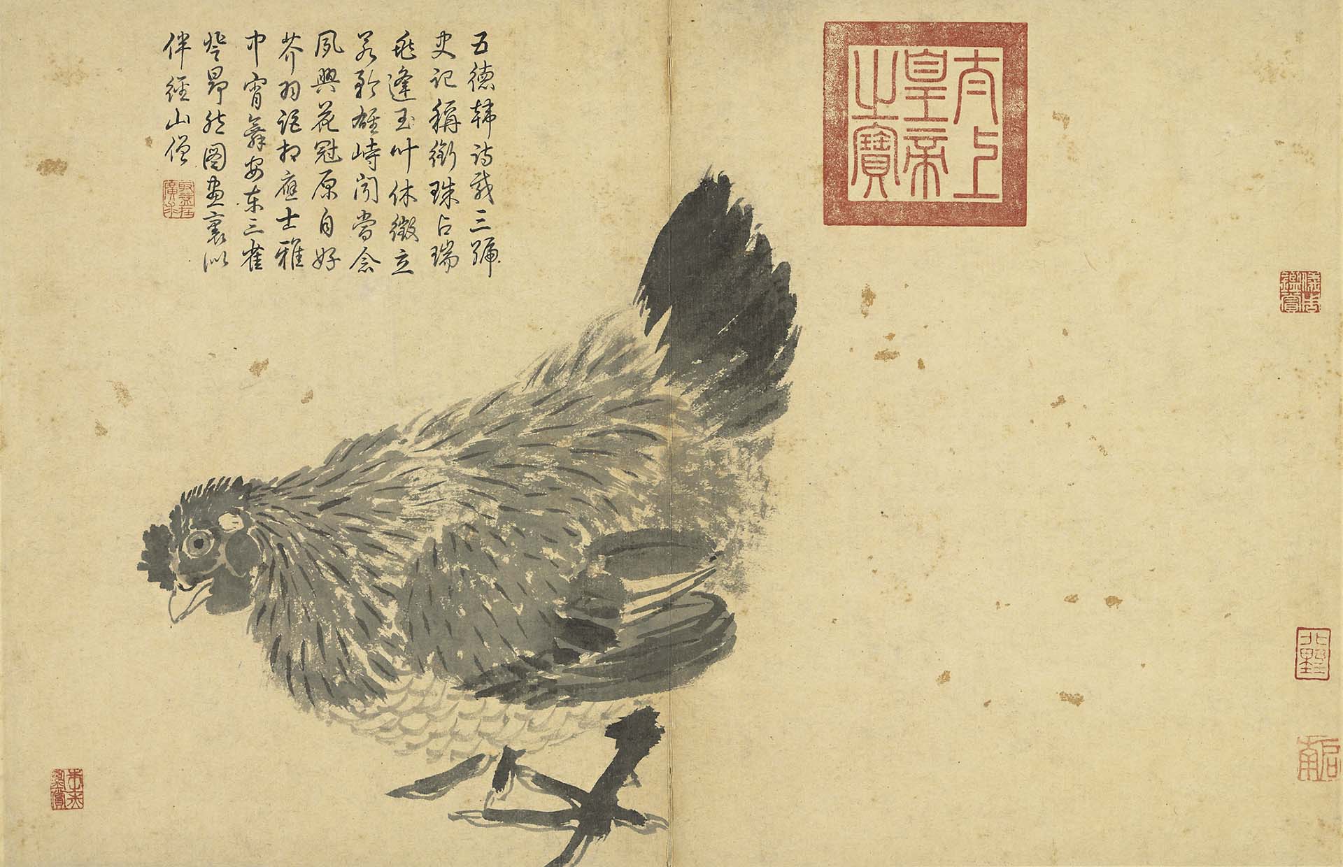 國寶 明 沈周《寫生》冊〈雞〉，34.8×53.8公分，紙本水墨，國立故宮博物院藏。©國立故宮博物院Open Data