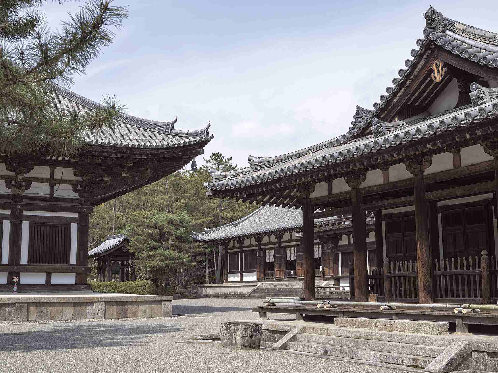 唐招提寺境內。圖取自文化財デジタルコンテンツ。