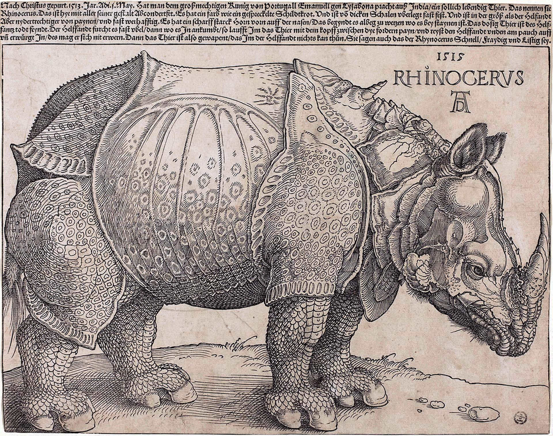 杜勒所作的木刻版畫《杜勒的犀牛》（Dürer’s Rhinoceros，1515）。（Public Domain）