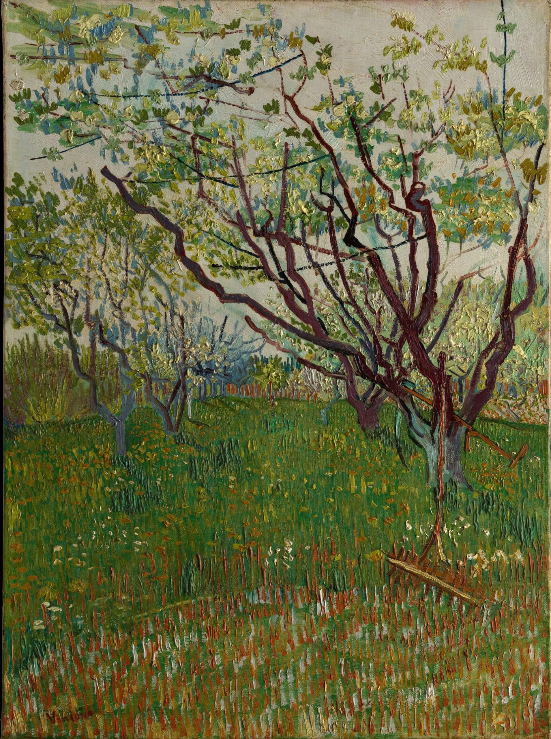 文森・梵谷《花朵盛開的果園》（The Flowering Orchard），1888，油彩畫布，72.4×53.3公分，亨利・伊特森夫婦購藏基金，大都會藝術博物館藏。（© The Metropolitan Museum of Art，時藝多…