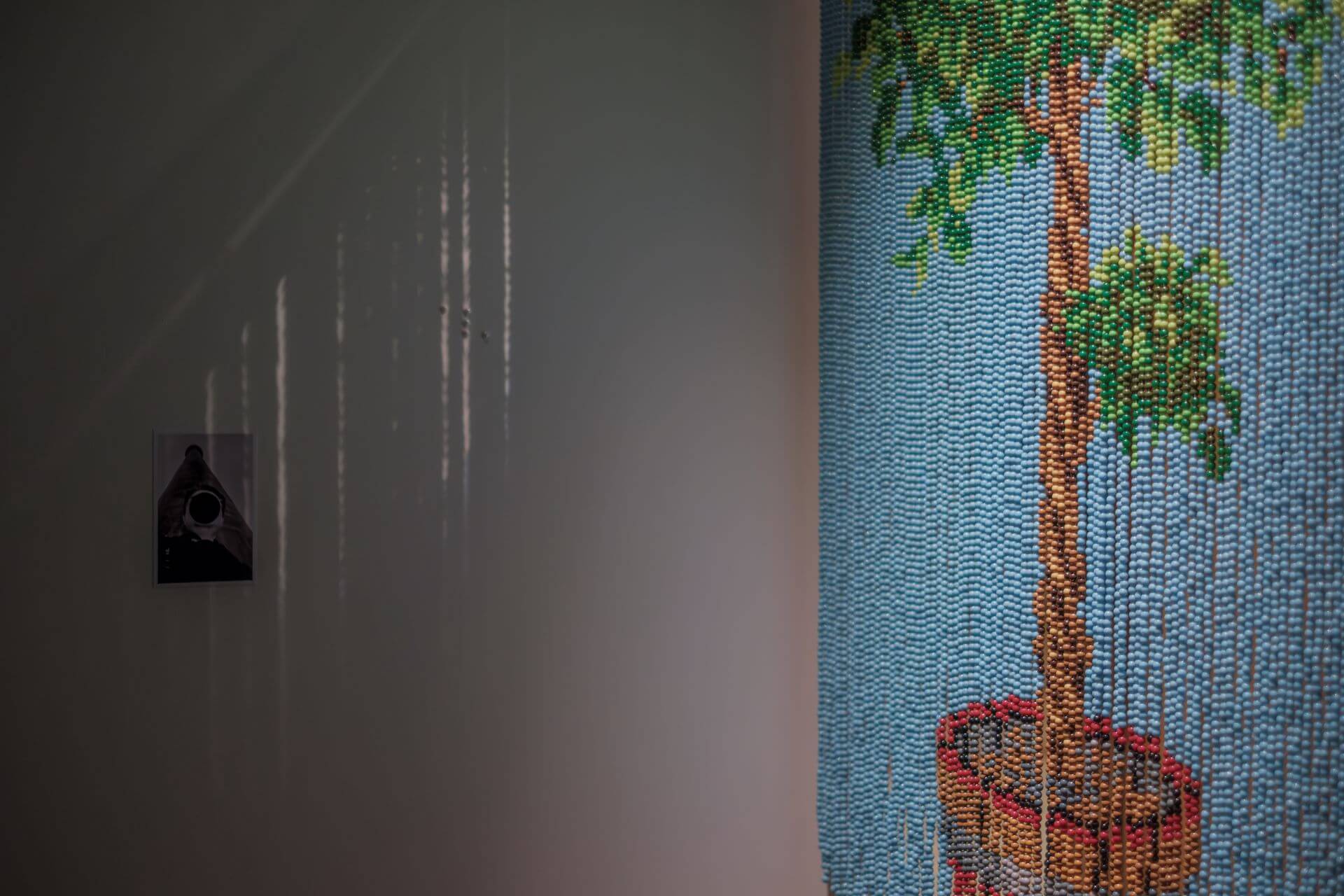 2025 莊約翰「去花蓮 找 莊德樹」個展，展場一隅。（攝影／王仲平，莊約翰提供）