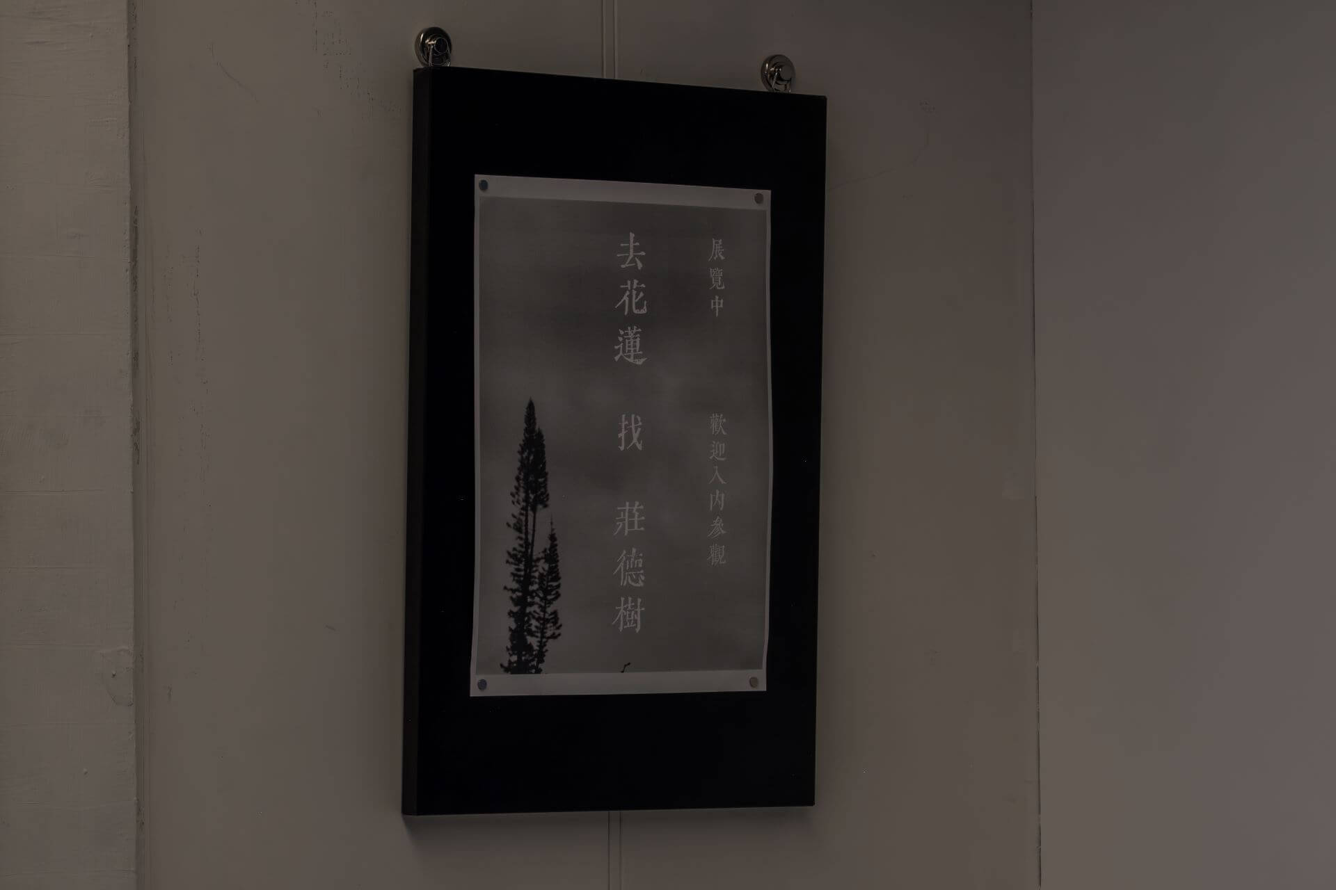 2025 莊約翰「去花蓮 找 莊德樹」個展，展場一隅。（攝影／王仲平，莊約翰提供）