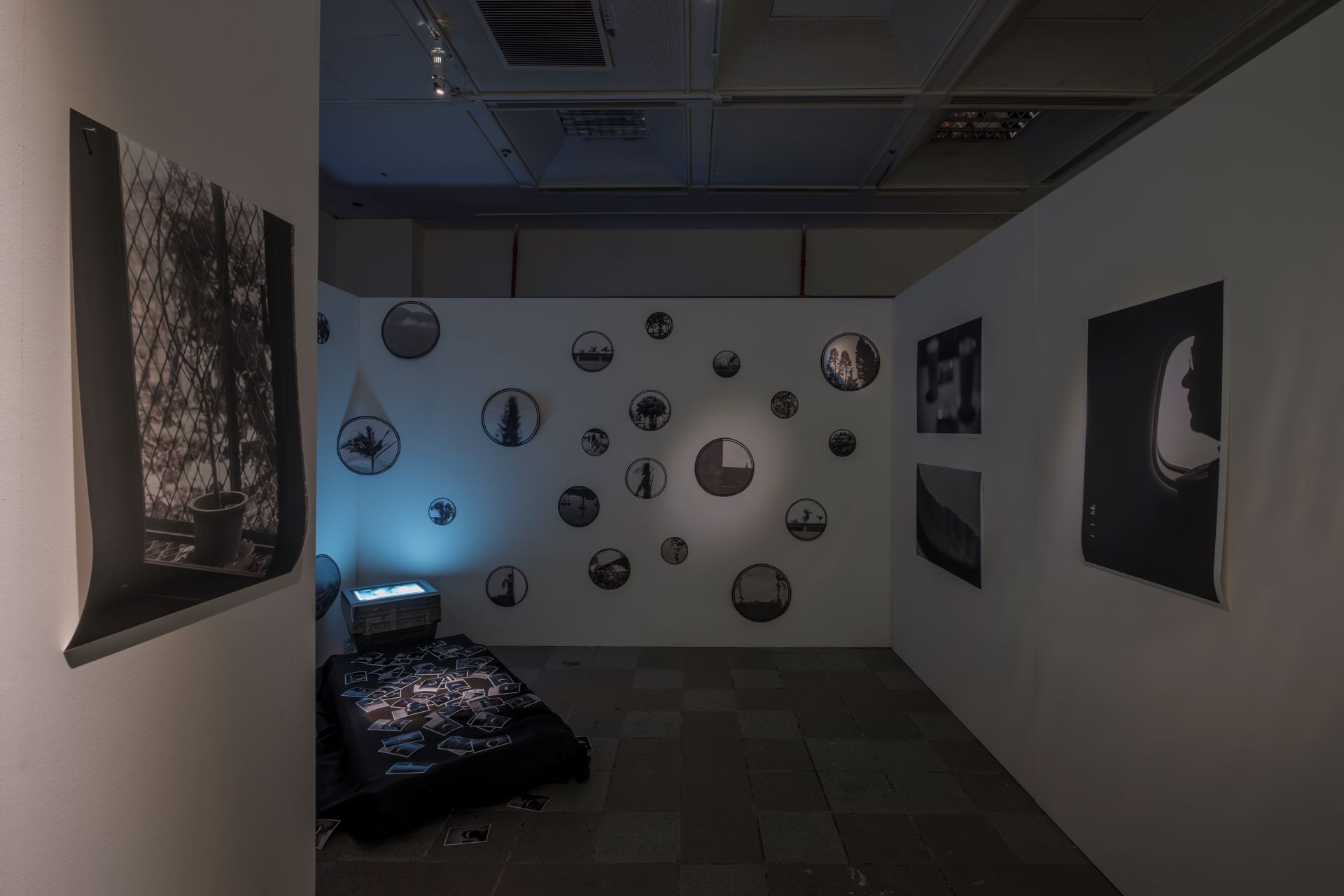 2025 莊約翰「去花蓮 找 莊德樹」個展，展場一隅。（攝影／王仲平，莊約翰提供）