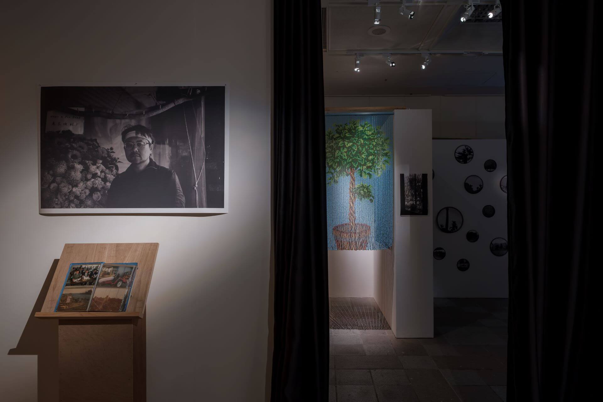 2025 莊約翰「去花蓮 找 莊德樹」個展，展場一隅。（攝影／王仲平，莊約翰提供）