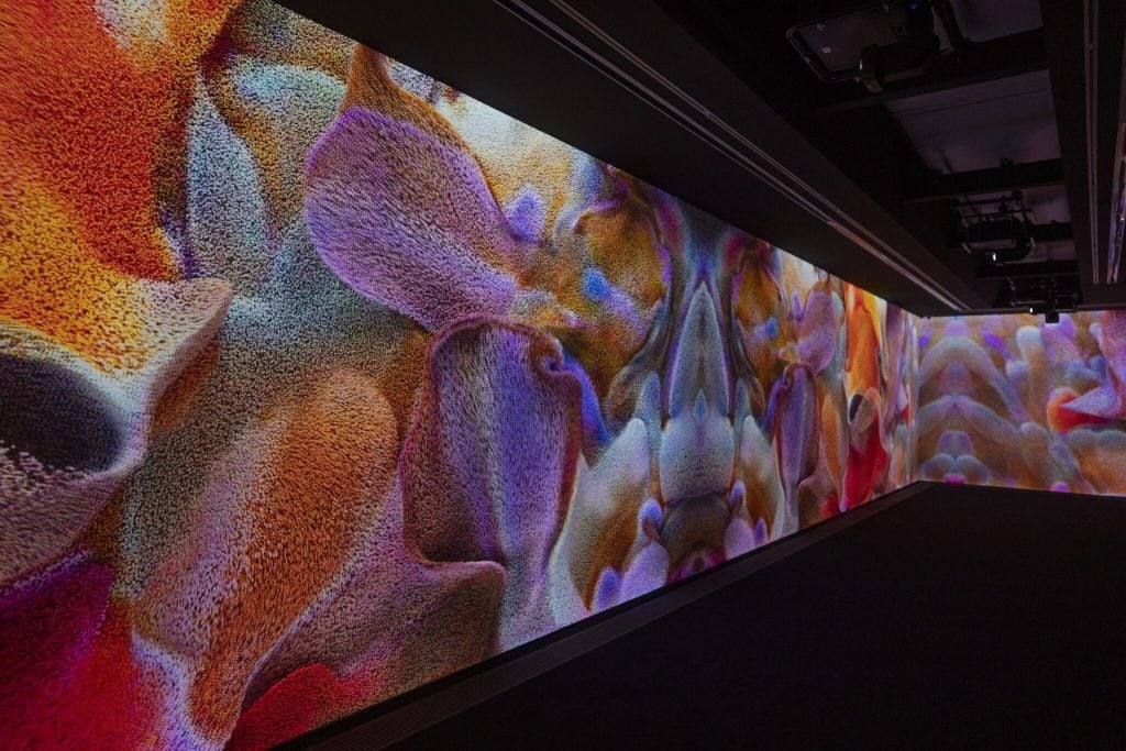 「Echoes of the Earth: Living Archive」於蛇形藝廊展出現場。© Serpentine