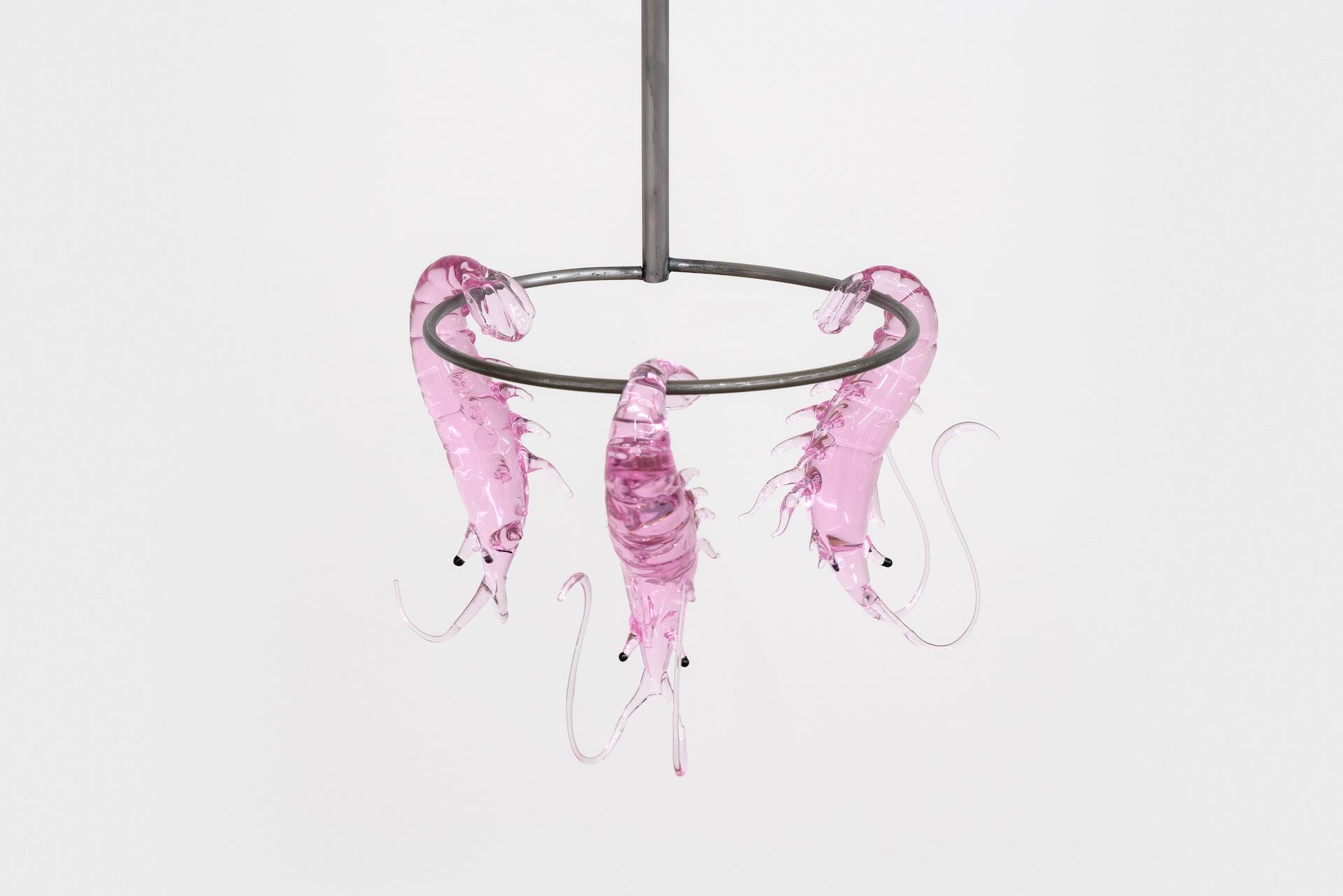 黃麗音也曾於倫敦泰特不列顛美術館舉辦個展「Art Now: Steph Huang: See, See, Sea」，探討英國日常飲食文化背後的生產鏈和商業行為。黃麗音《Prawn Cocktail》， 2023年。Photo_ Public…