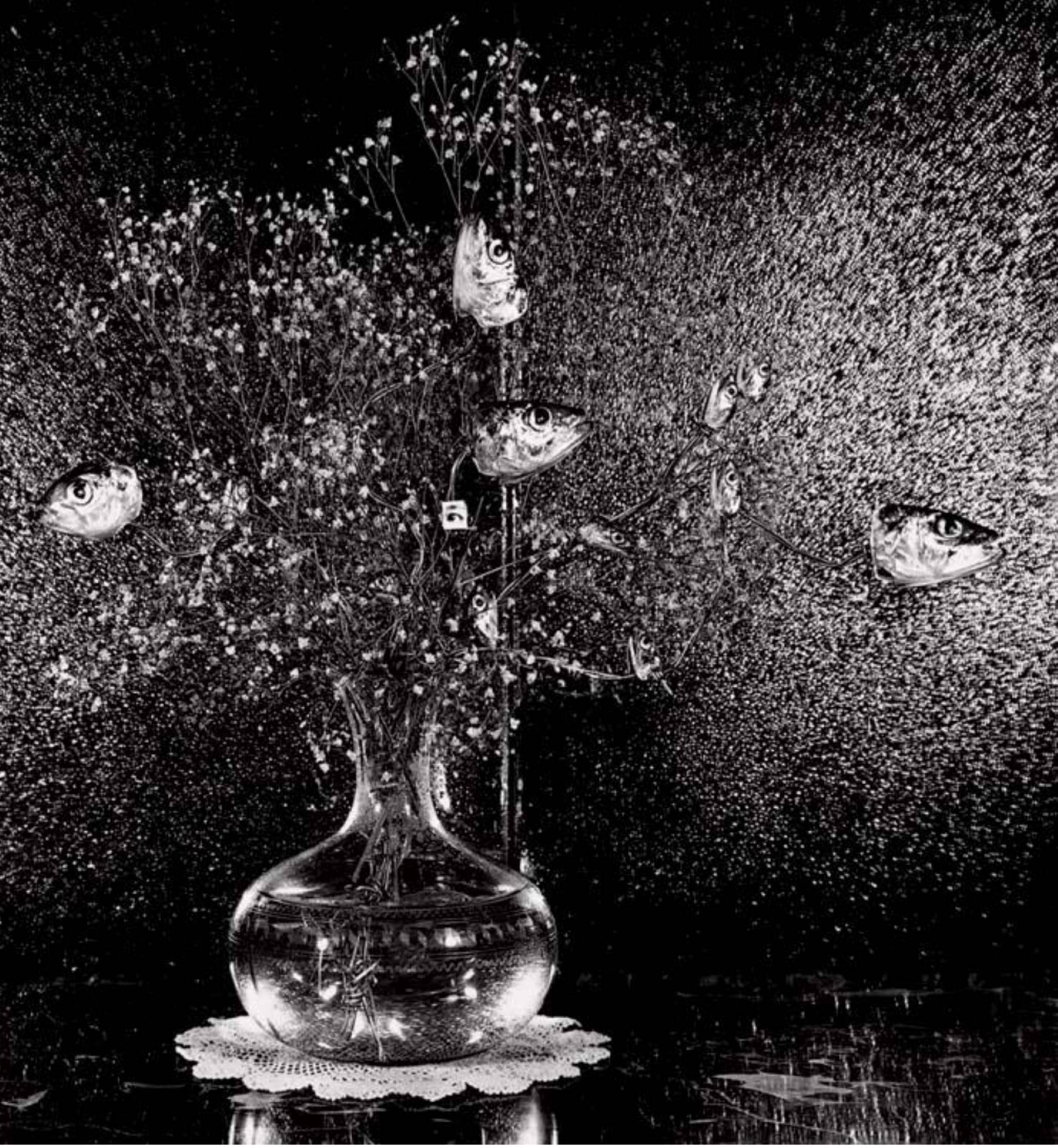 今道子｜Sardines and baby’s breath 黑白攝影 1984 翻攝自《Still Lifes》