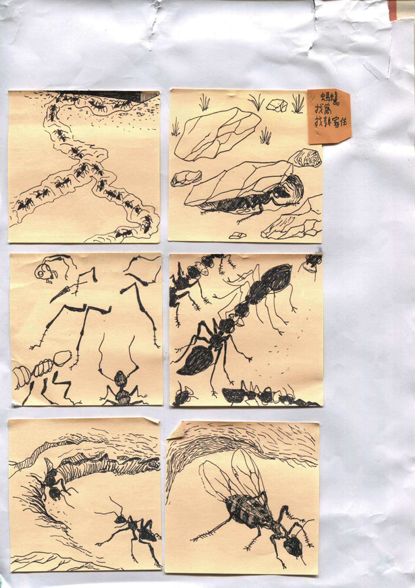 《白蟻餵食秀》繪製在便利貼上創作手稿。（張徐展提供）