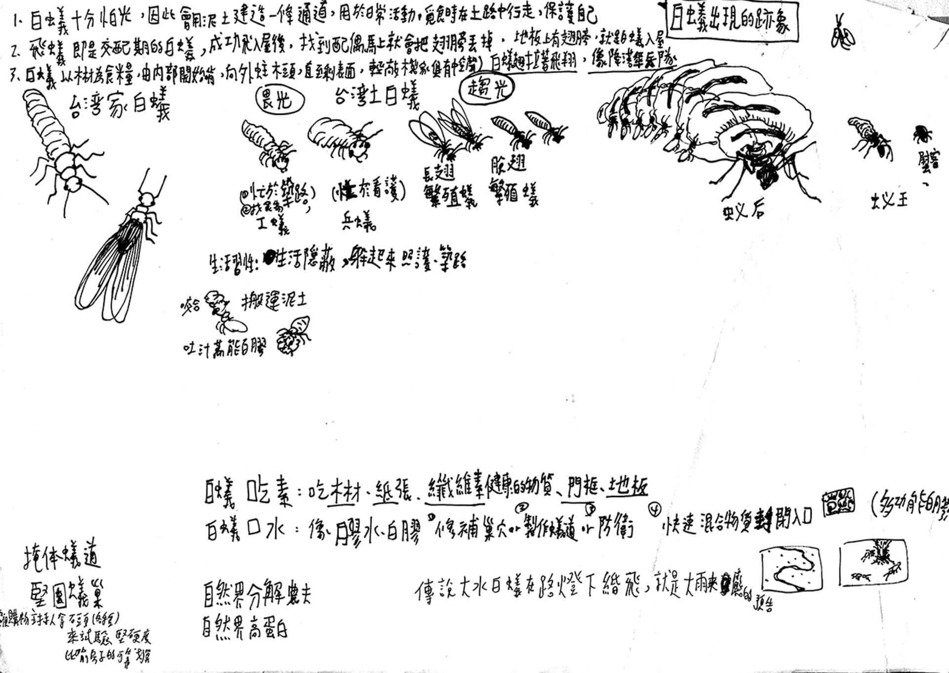 《白蟻餵食秀》的製作手稿，張徐展記錄下有關白蟻的資料與圖像。（張徐展提供）