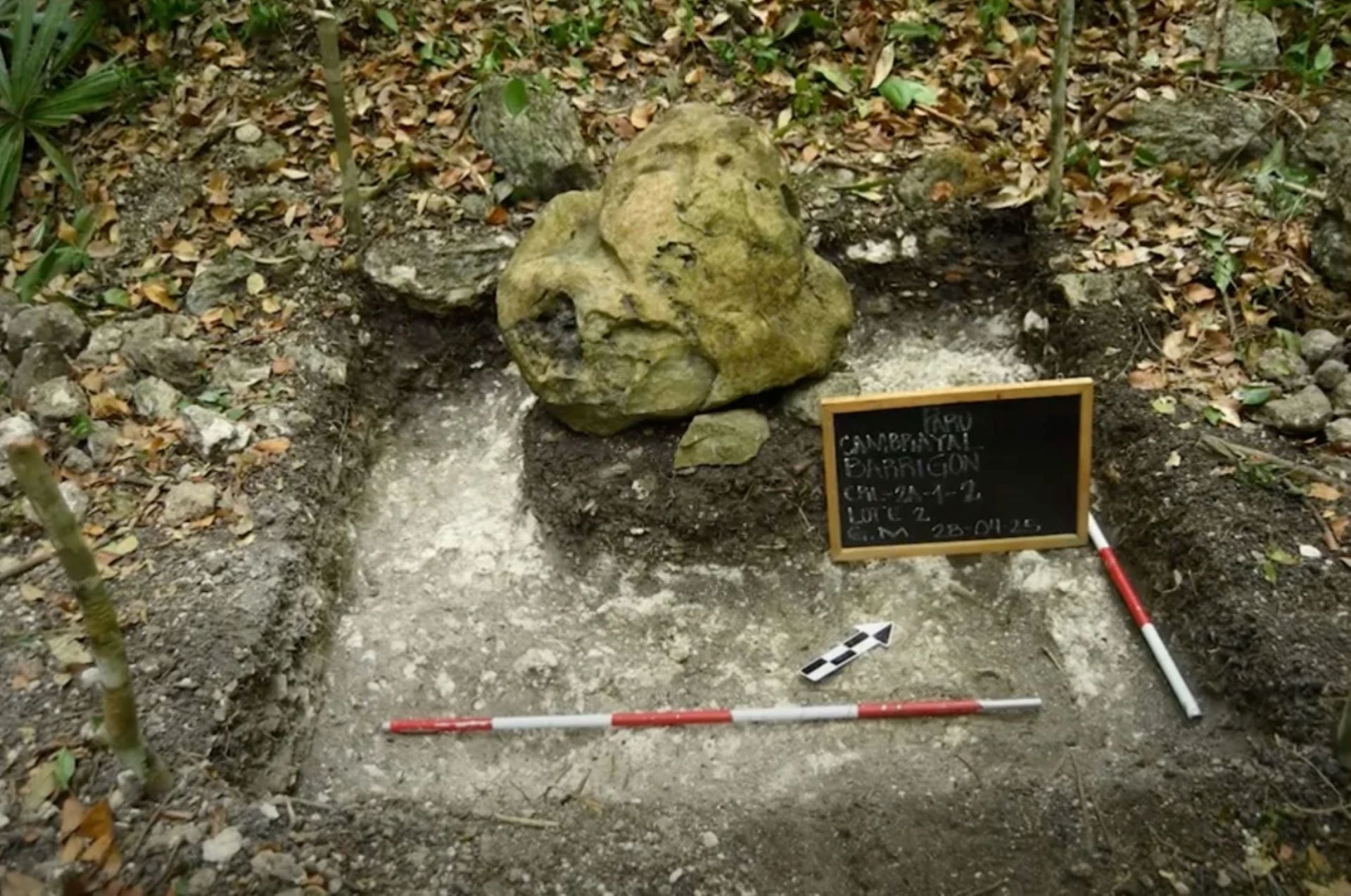 古馬雅遺址群發現於瓜地馬拉北部。（© Guatemalan Ministry of Culture and Sports）