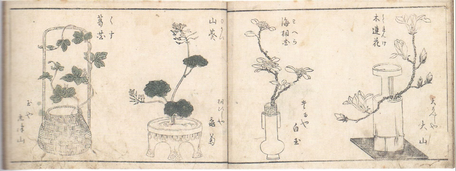 紅塵陌人 作／北尾重政 畫，《一目千本》，1774。（翻攝自：《特別展「蔦屋重三郎 文化內容產業的風雲兒」》）