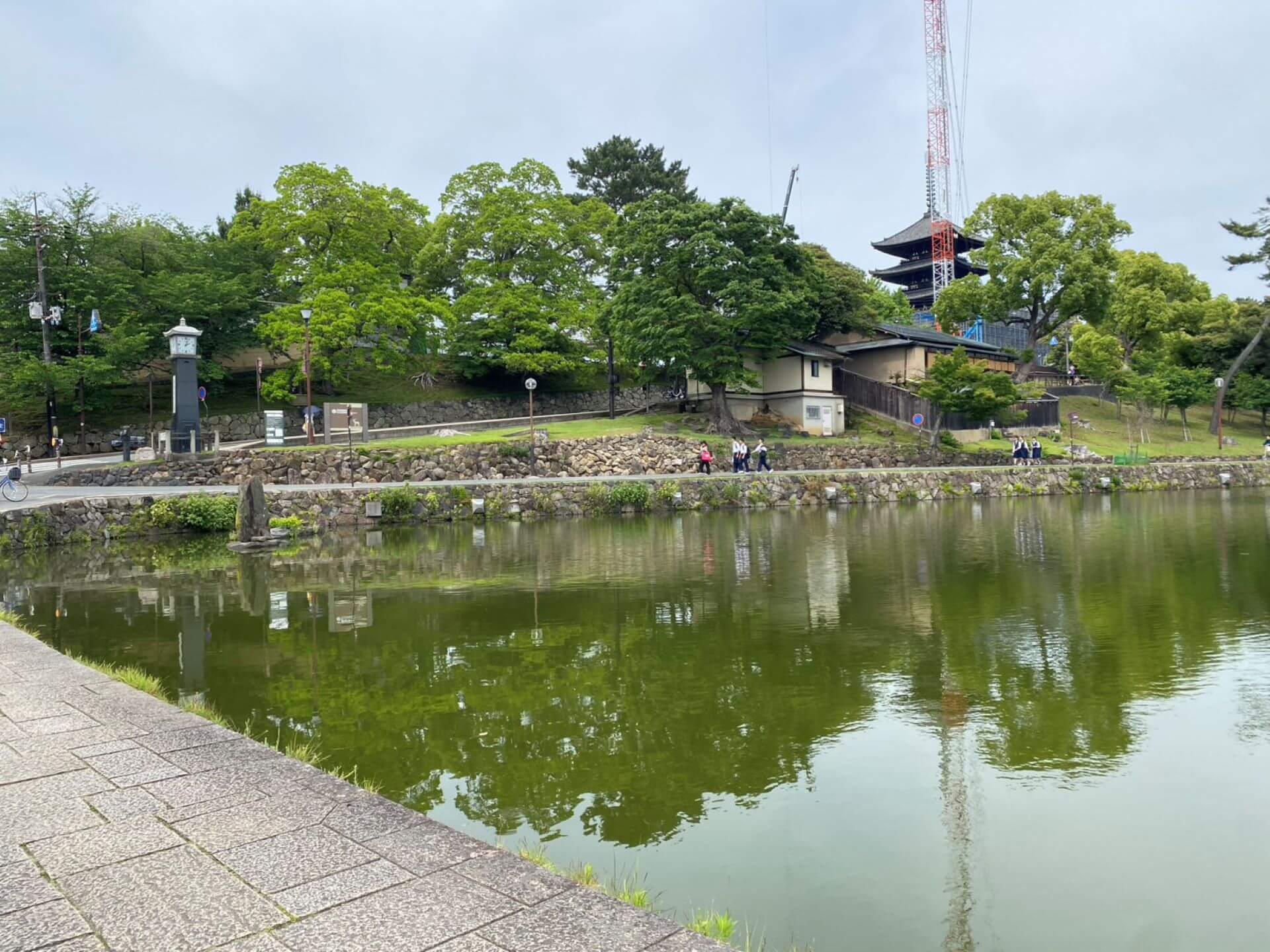 從猿澤池西岸往五重塔方向望去。2024年起，興福寺五重塔開始大維修，因此外圍可見鋼架和吊車。（攝影／劉錡豫）