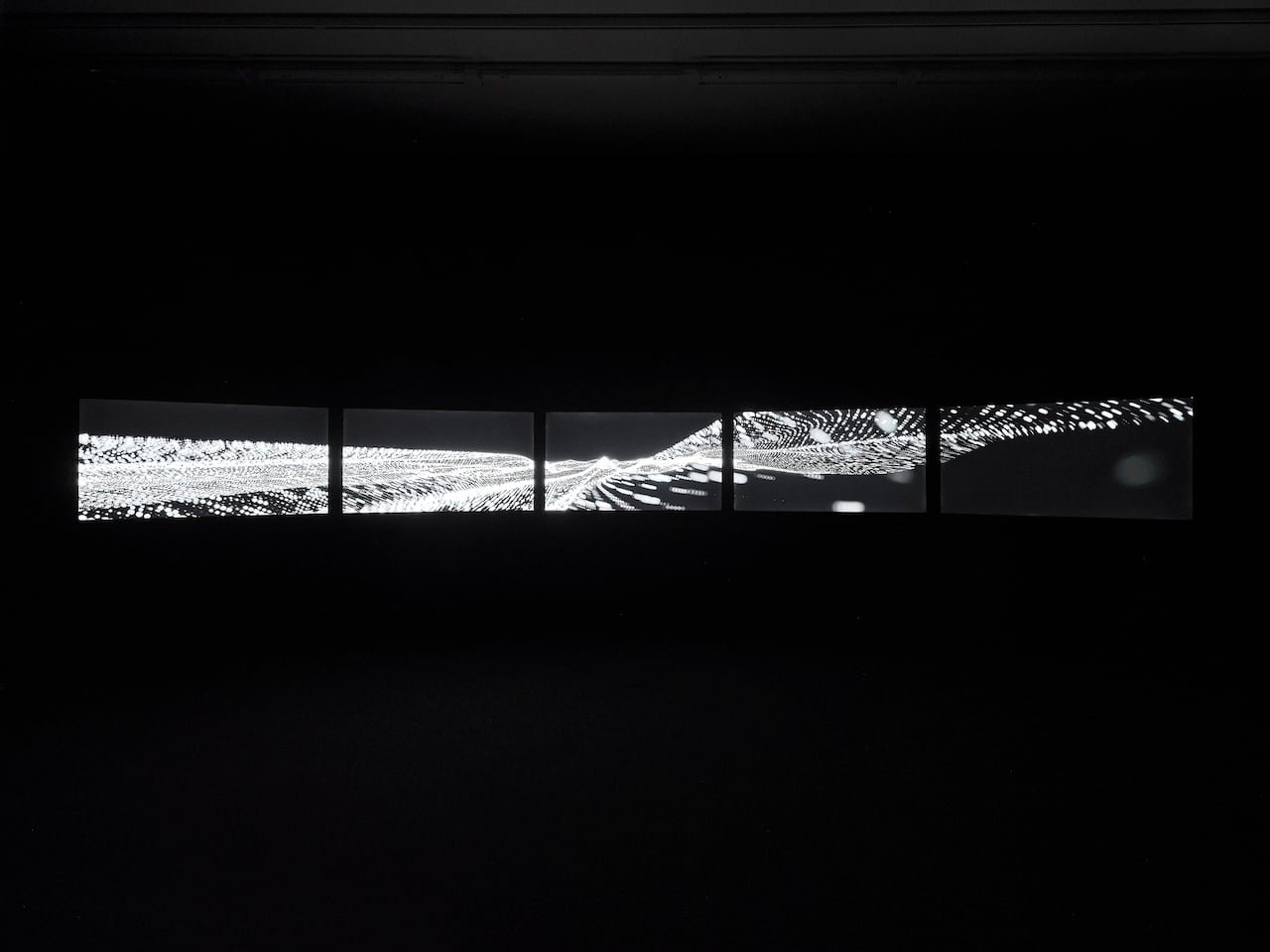 張永達《yphenom》於法國維勒班當代藝術中心「寂靜的回聲」展覽展出現場。（© Thomas Lannes）