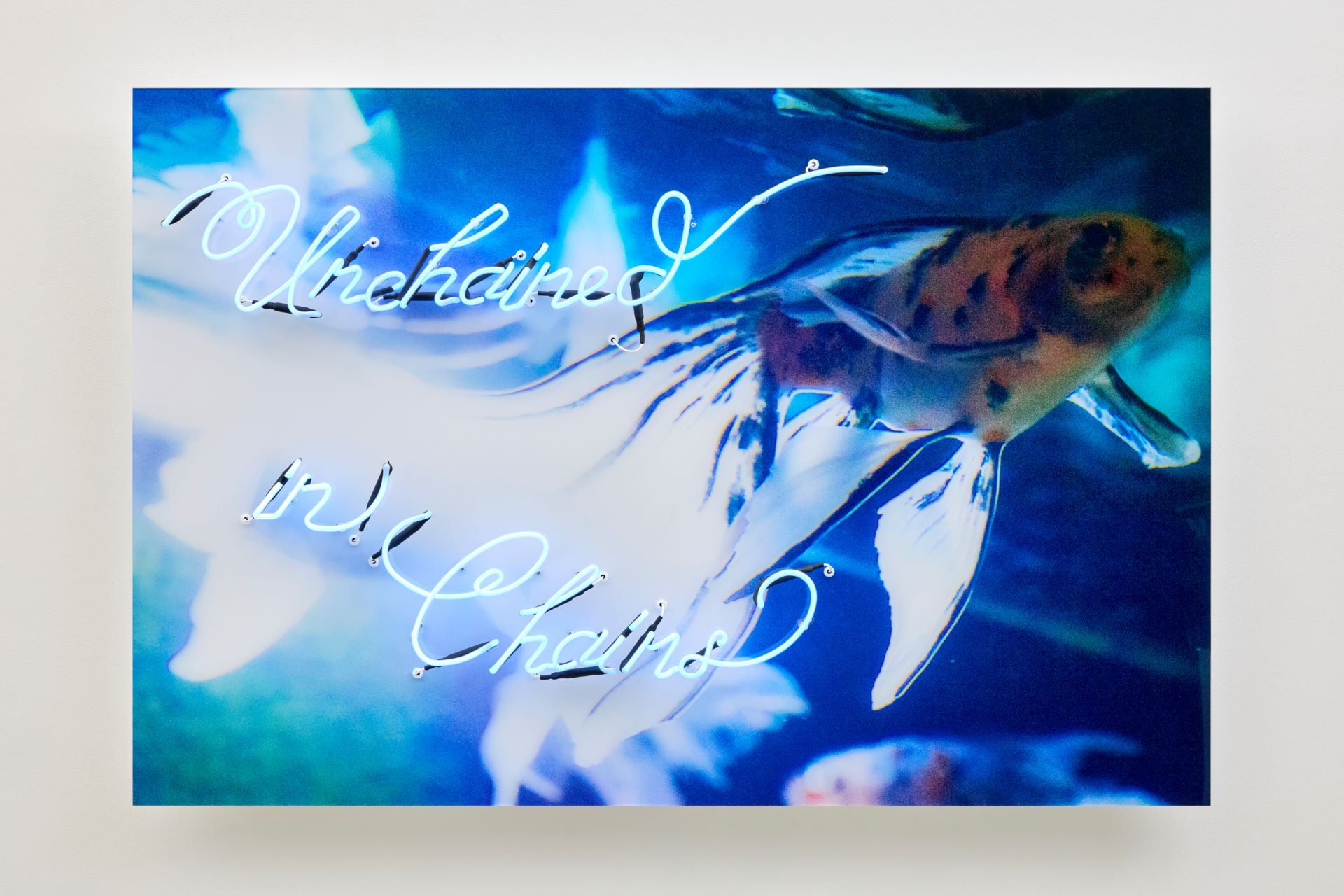 蜷川実花（Mika Ninagawa），《Unchained in Chains 》，C-print mounted on plexiglas, neon tube，Uniqlo，97.0 × 145.6 cm，2023。（Photo by…