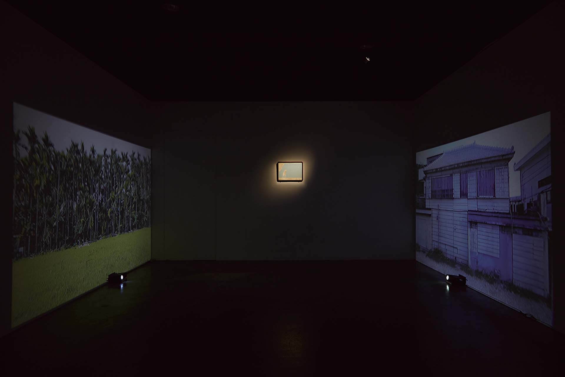 圖為「散步」展覽一景，李杰恩此結合刺青的創作計畫，源自於穿著沾附大花咸豐草種子的衣物，自臺灣前往沖繩播種，藉以反思邊界、遷徙與路徑的意義。（李杰恩提供）