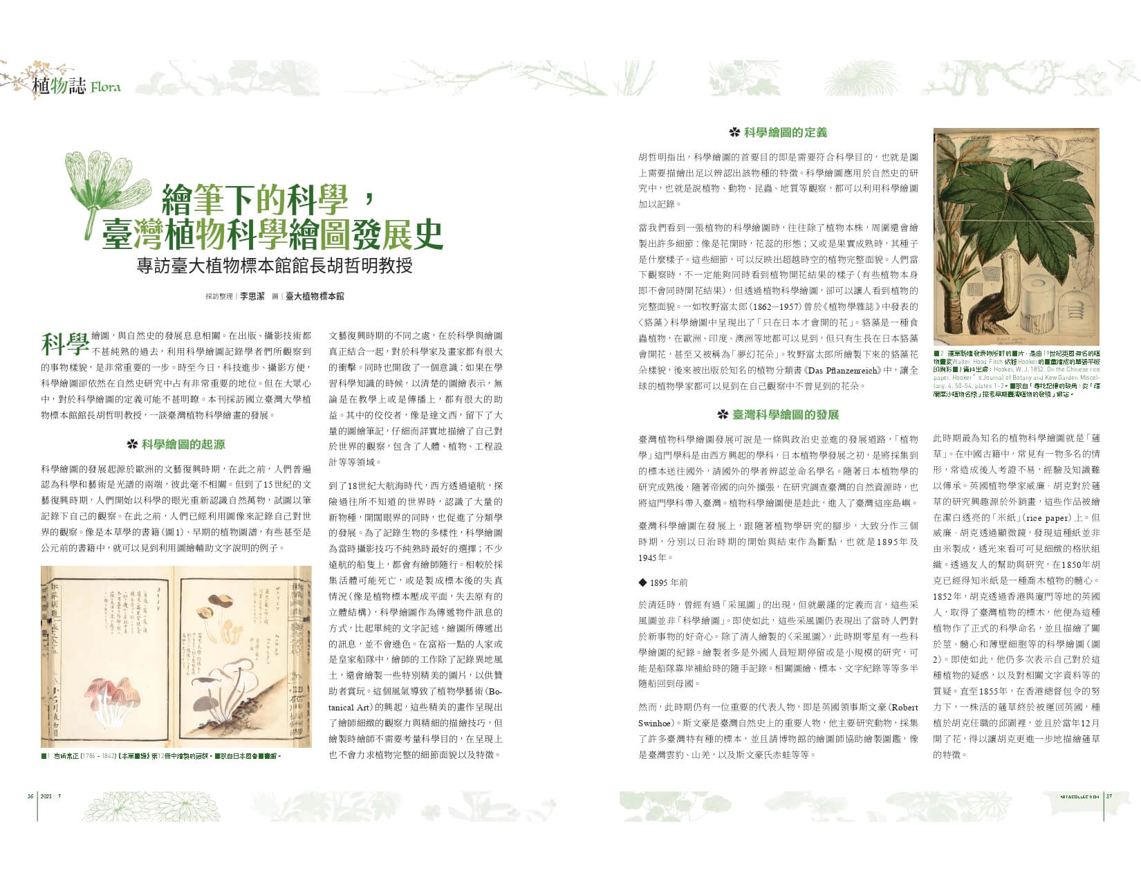 繪筆下的科學,臺灣植物科學繪圖發展史──專訪臺大植物標本館館長胡哲明教授