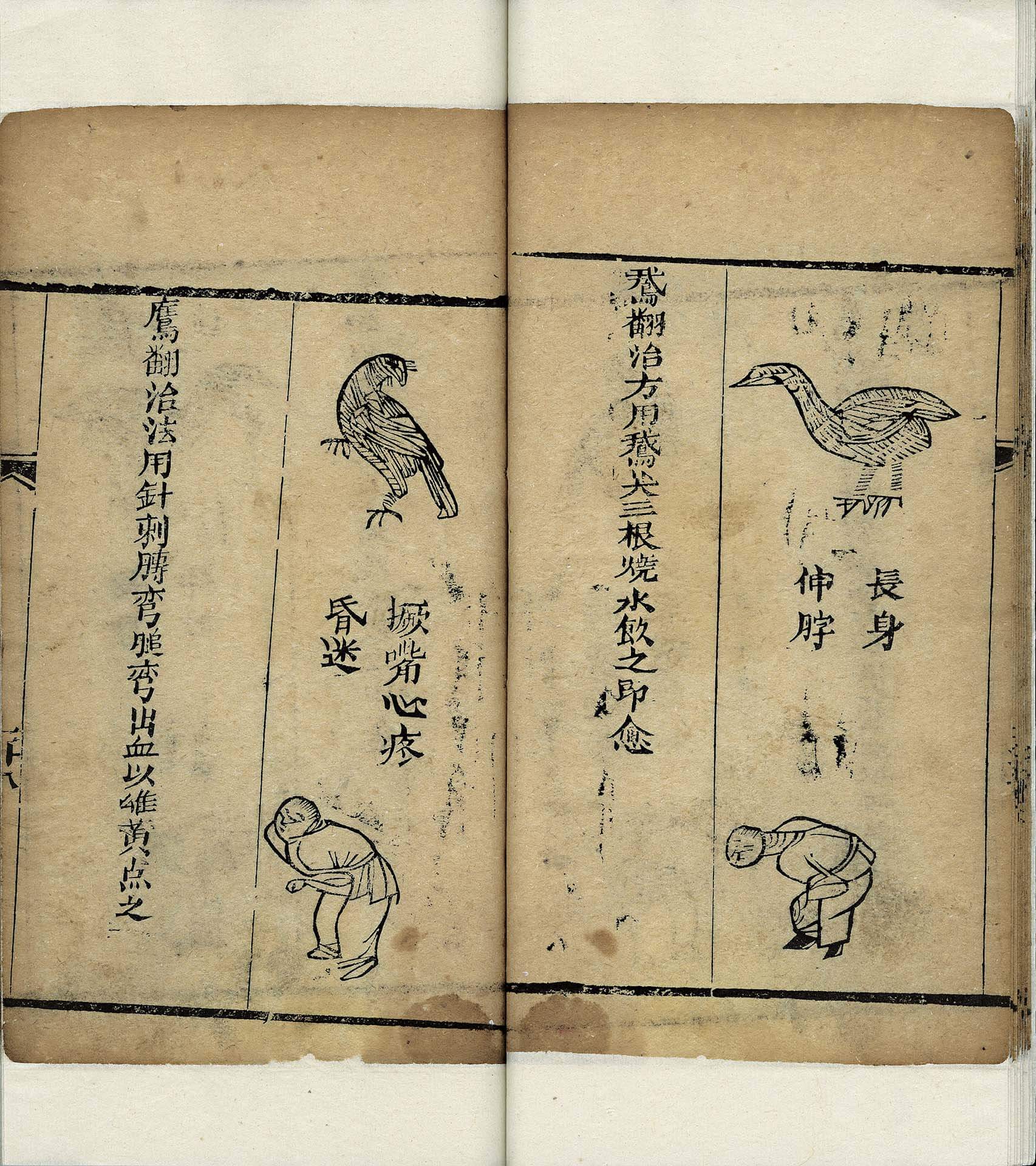 圖8 不著撰人《繡像翻症．鵞翻》，清光緒二十九年樹德堂刊本，國立故宮博物院藏，第一檔展件。圖／國立故宮博物院。
